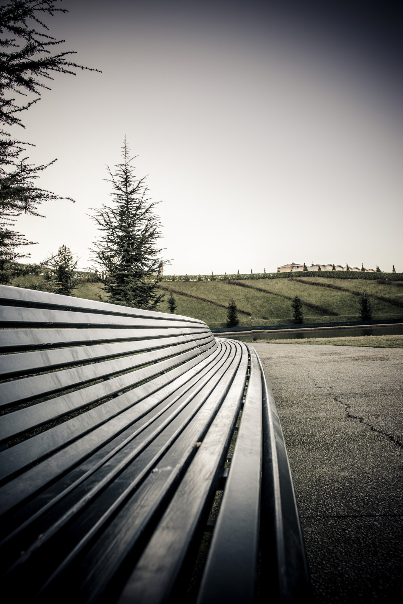 Canon EF 24mm F1.4L II USM sample photo. Un lungo percorso photography