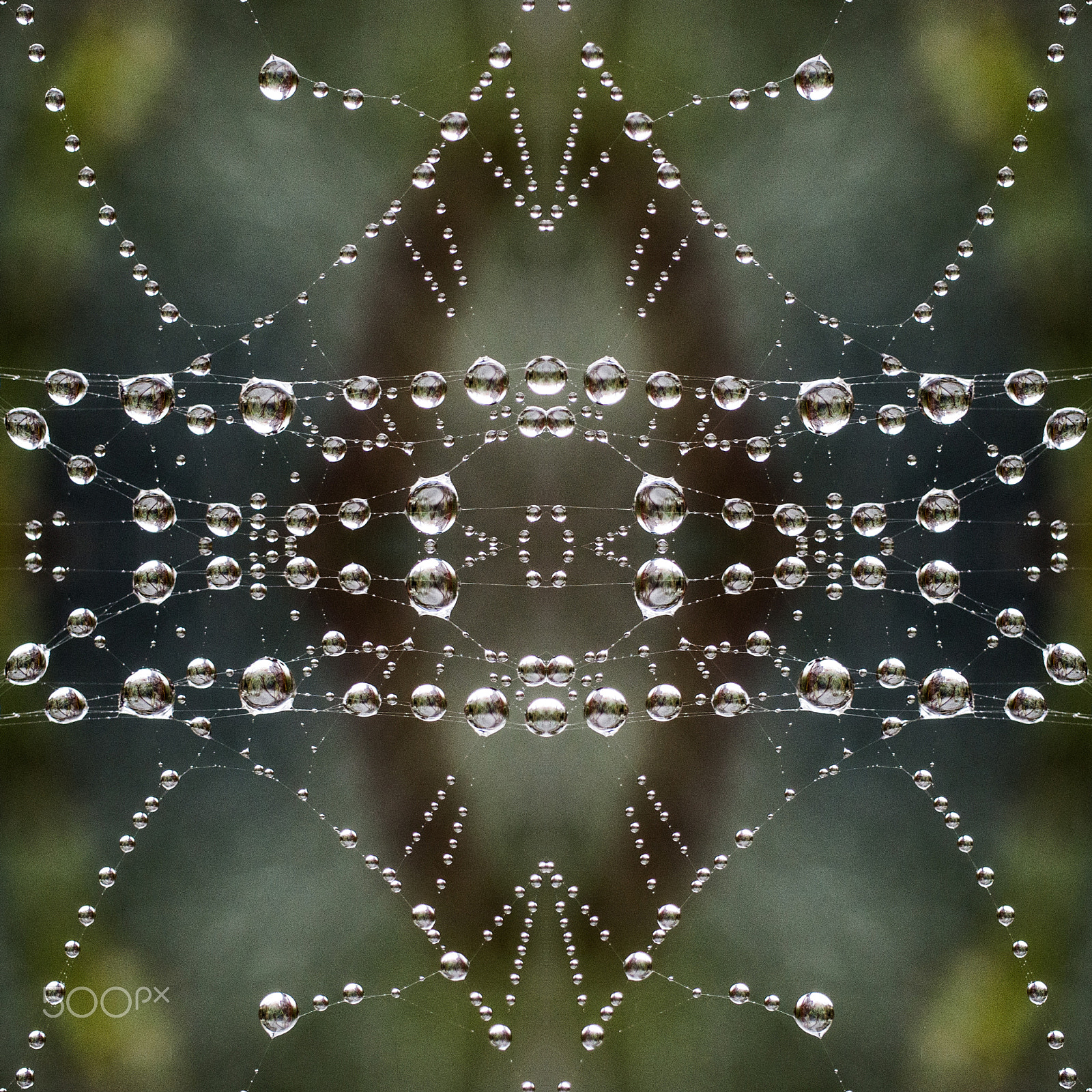 Panasonic Leica DG Macro-Elmarit 45mm F2.8 ASPH OIS sample photo. Web symmetry photography
