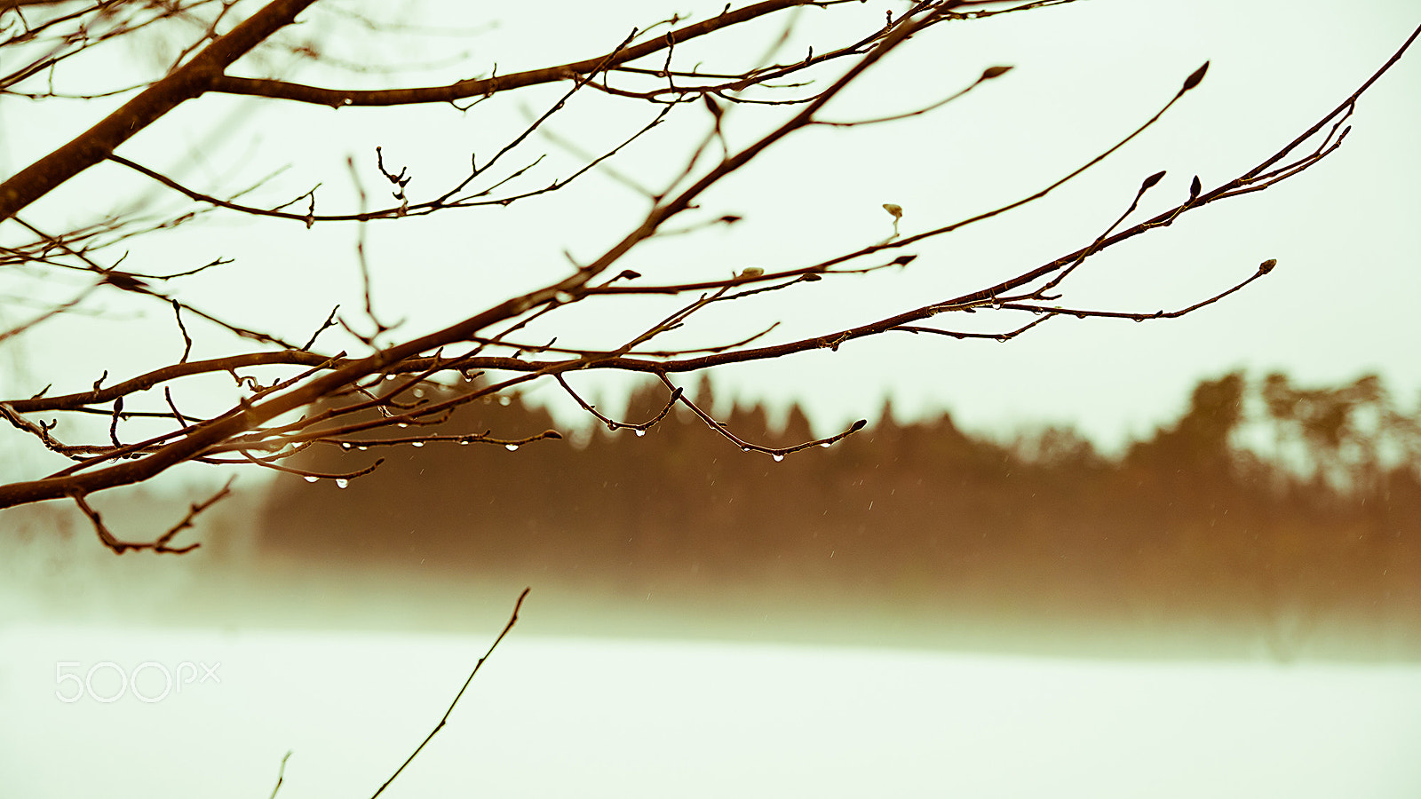 Nikon Df sample photo. Rain to melt the snow photography