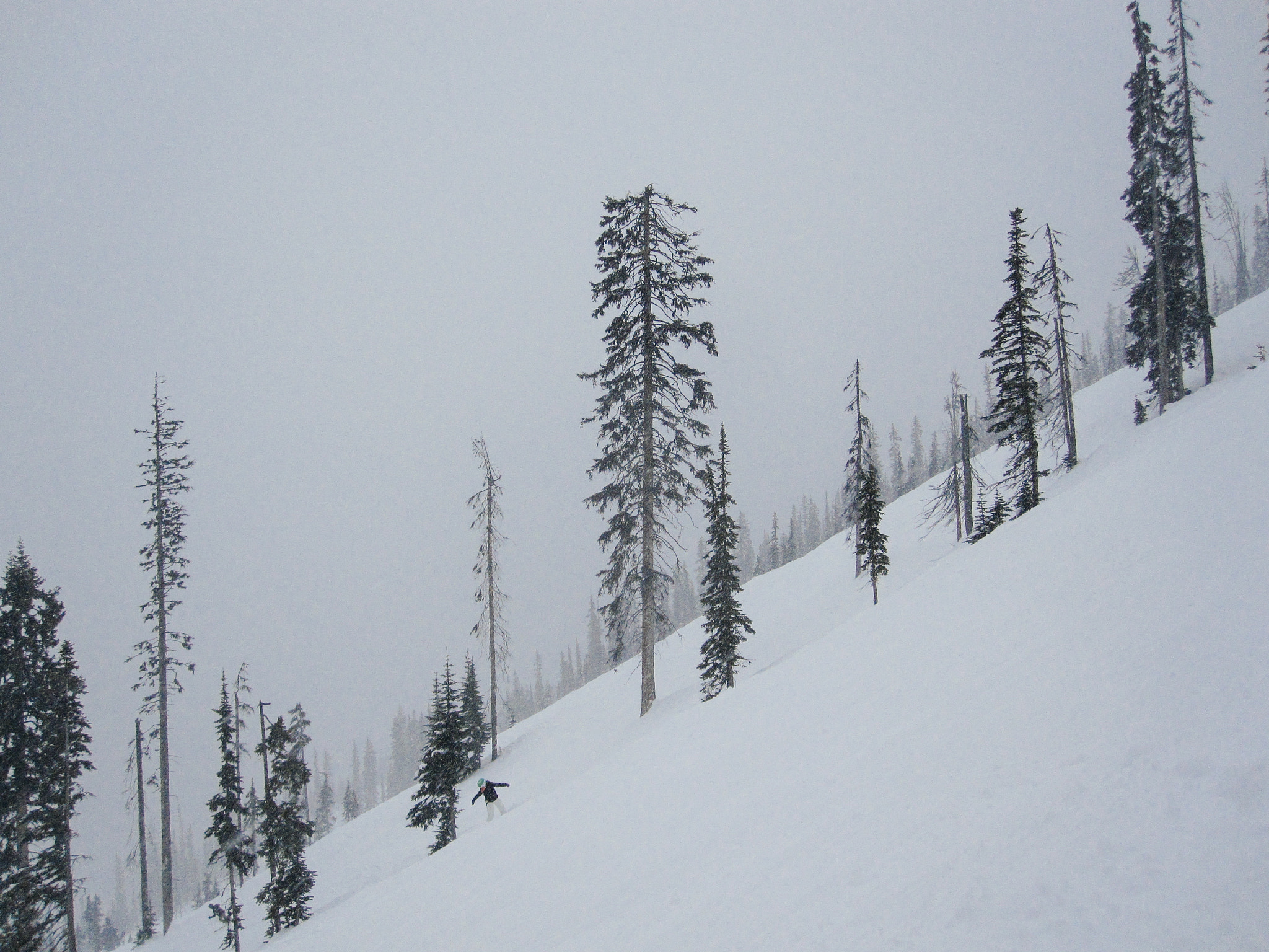 Canon PowerShot SD780 IS (Digital IXUS 100 IS / IXY Digital 210 IS) sample photo. Kicking horse photography