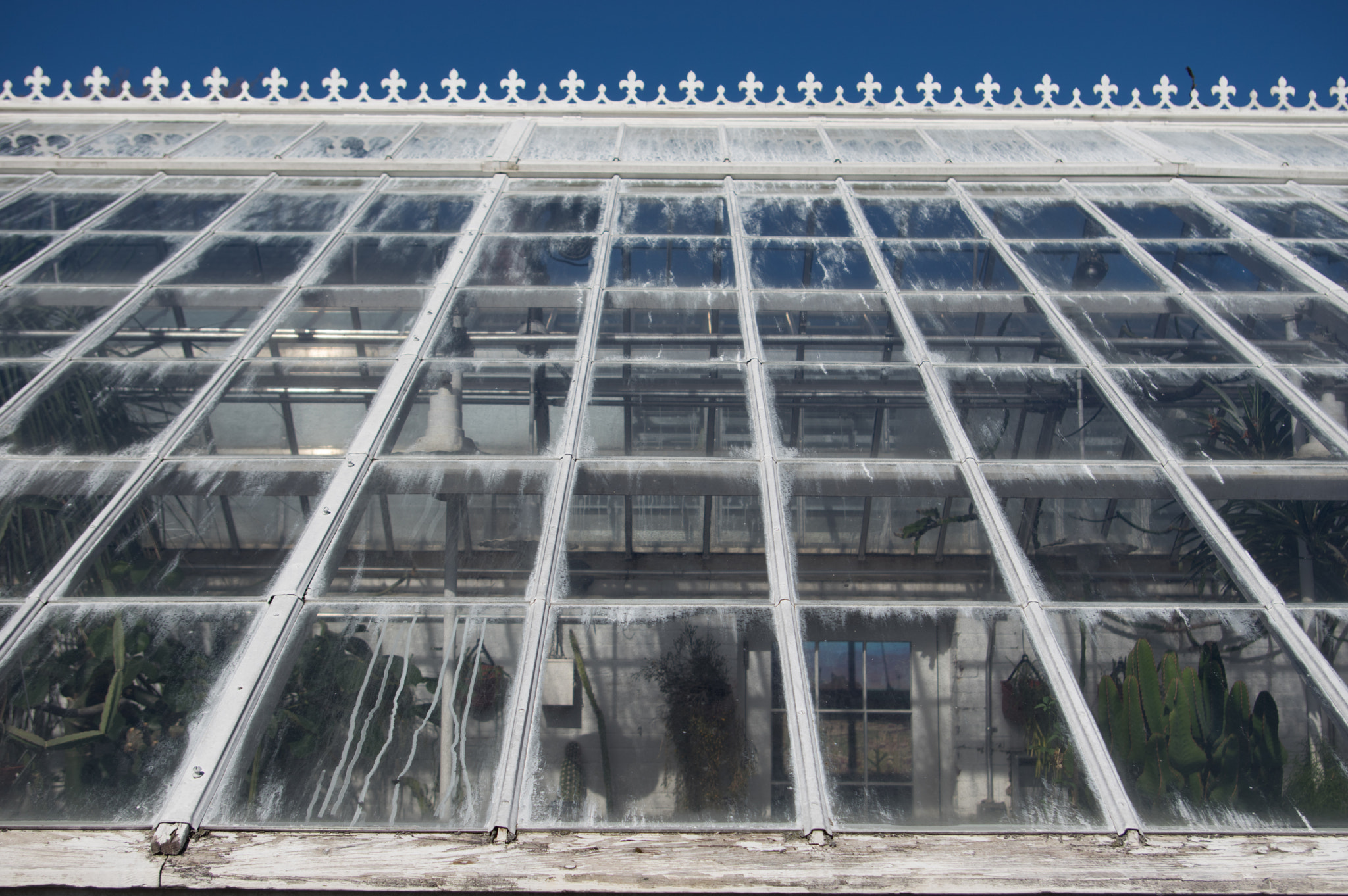 Pentax smc DA 18-55mm F3.5-5.6 AL sample photo. Greenhouse photography