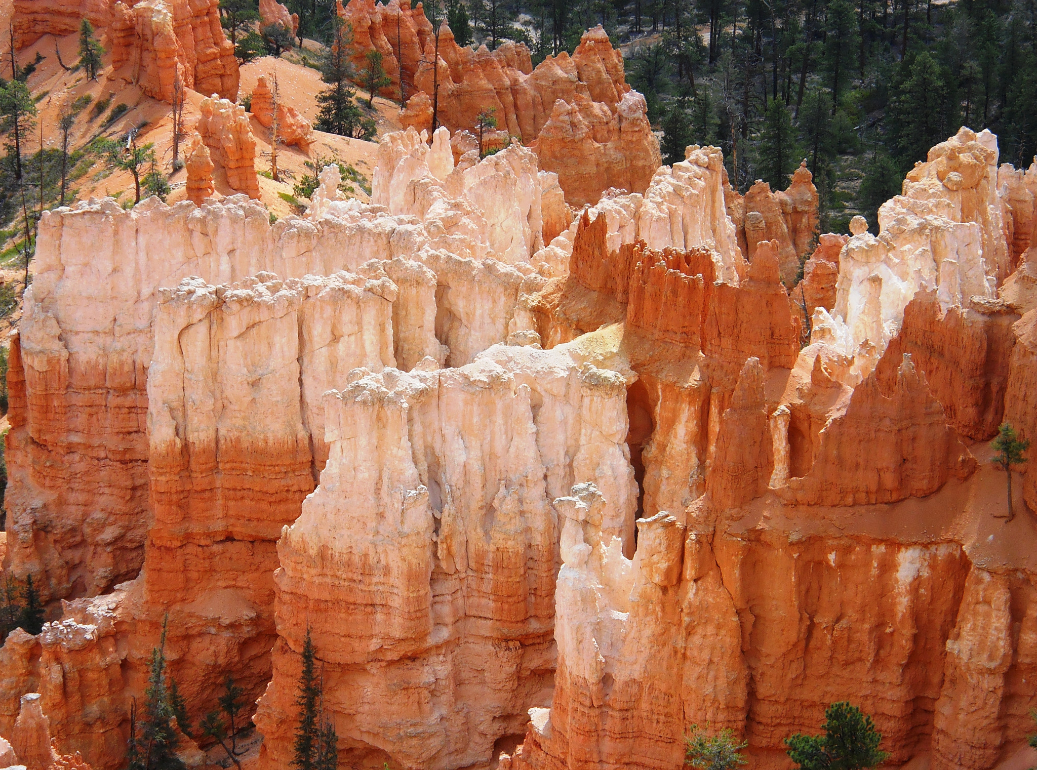 Nikon Coolpix L24 sample photo. Bryce canyon 1 photography