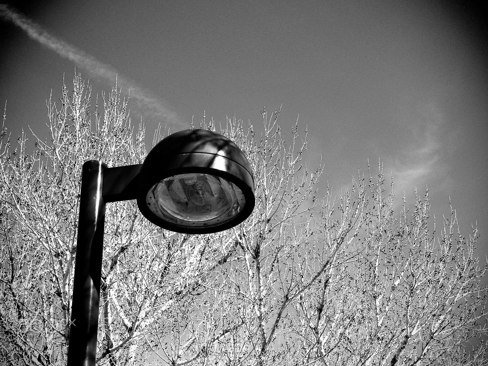 Kodak EASYSHARE Z5010 DIGITAL CAMERA sample photo. Black lamp photography