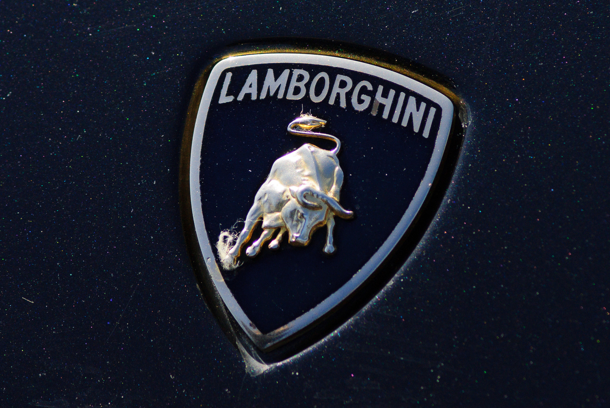 Sony Alpha DSLR-A300 sample photo. Lamborghine photography