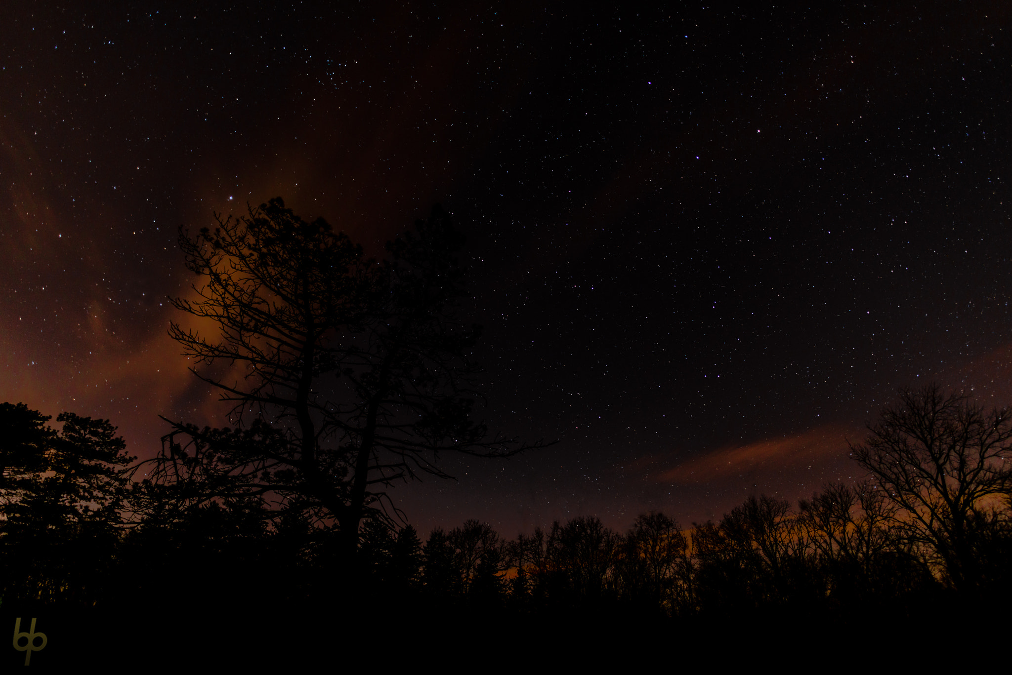 Nikon D800E + Nikon AF-S Nikkor 20mm F1.8G ED sample photo. Stars over allerton photography