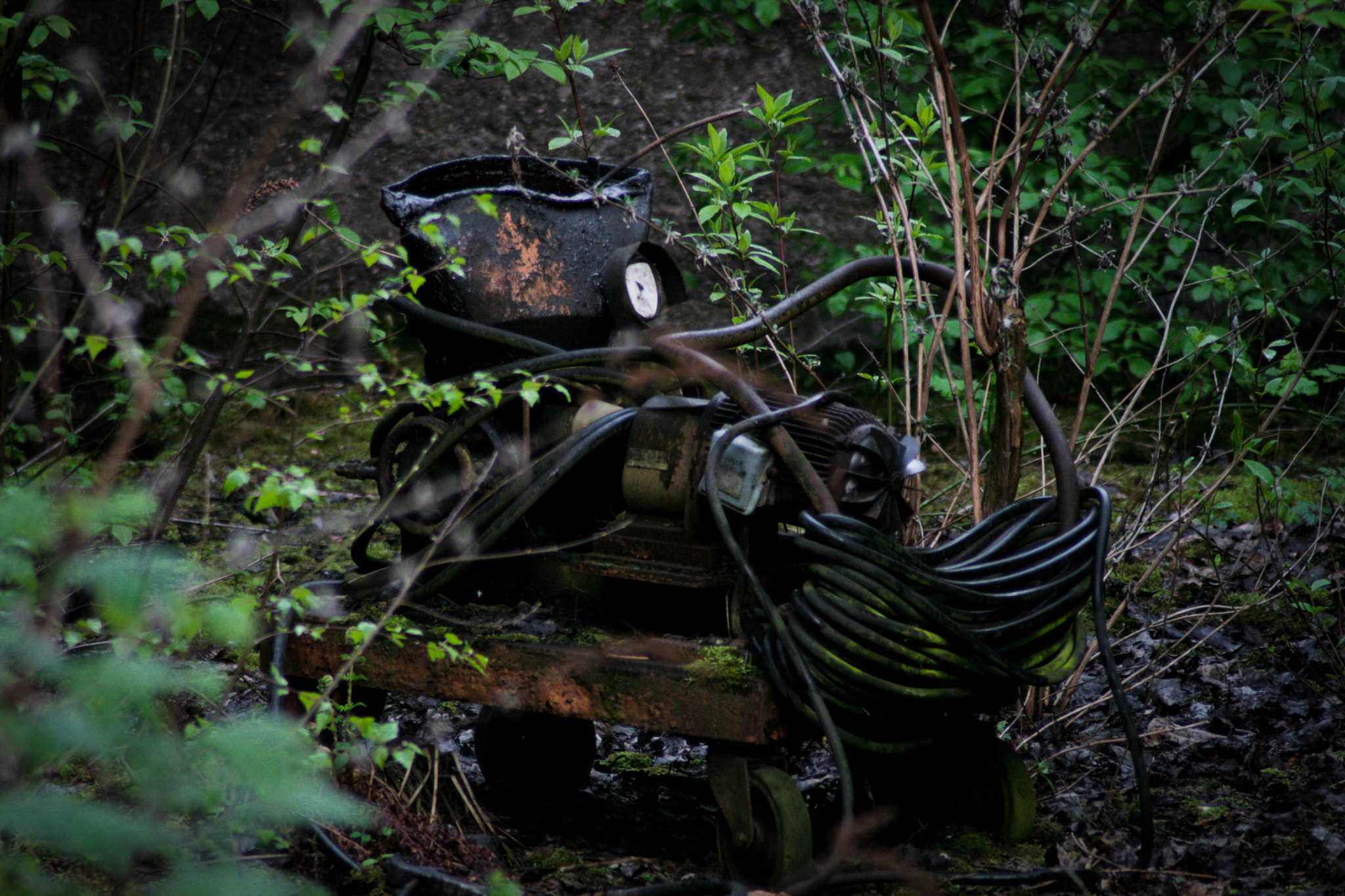 Canon EOS 400D (EOS Digital Rebel XTi / EOS Kiss Digital X) sample photo. Nature's way on an old machine photography