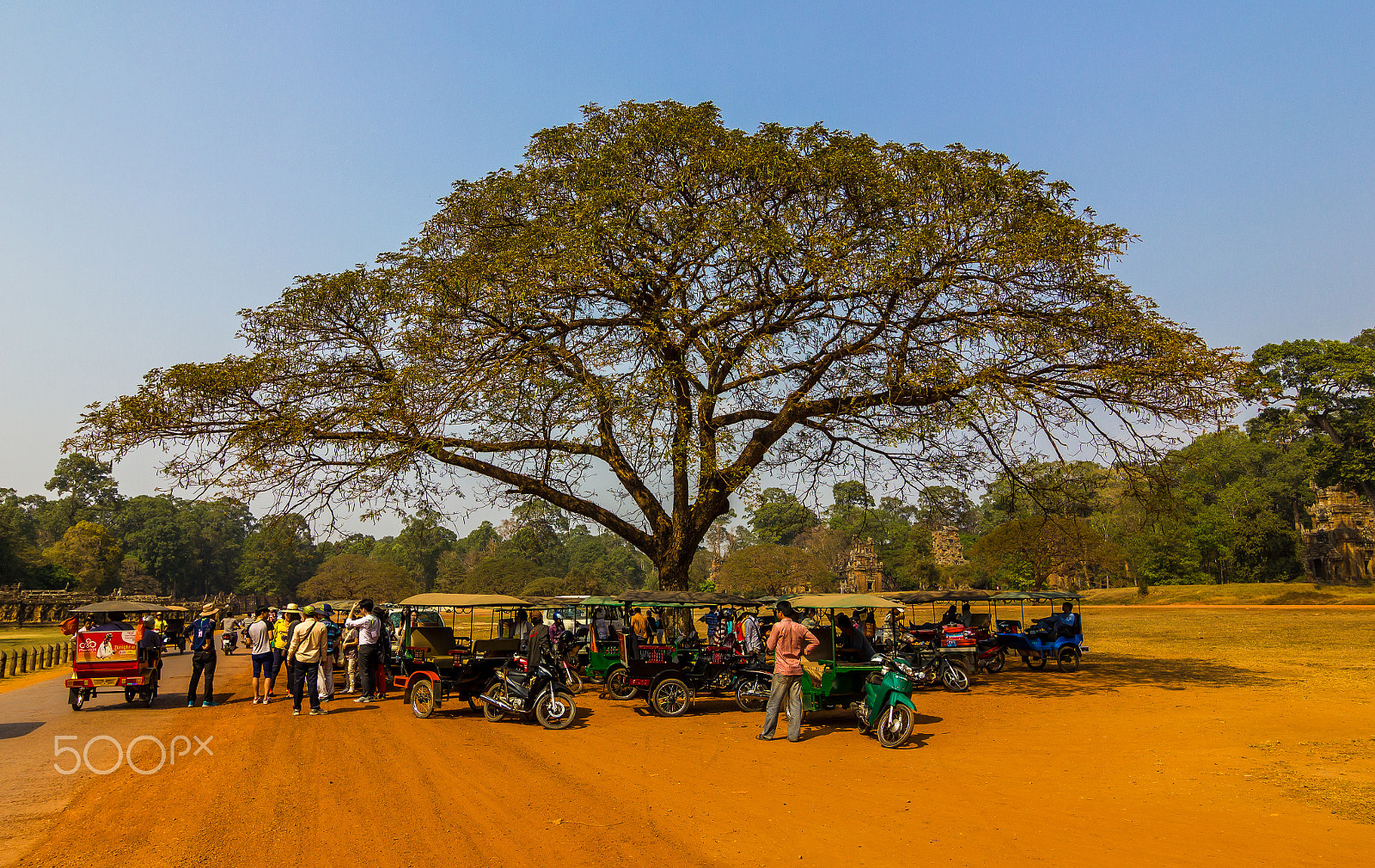 Tokina AT-X Pro 12-24mm F4 (IF) DX sample photo. One big shelter photography