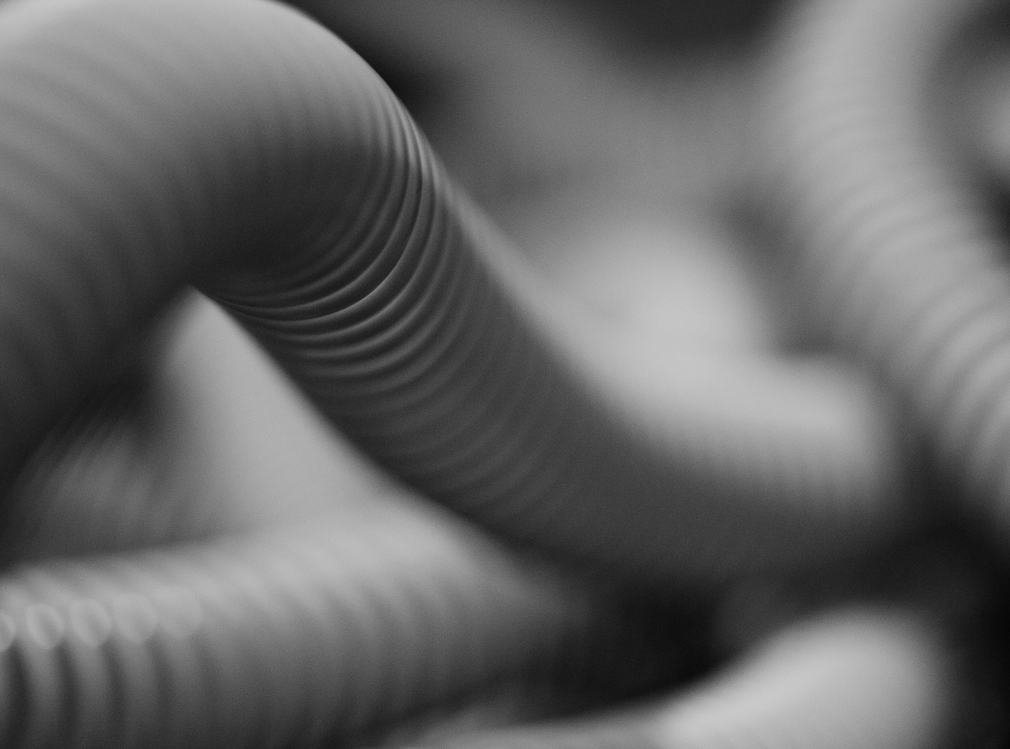 Canon EF-S 60mm F2.8 Macro USM sample photo. Tubular abstract photography