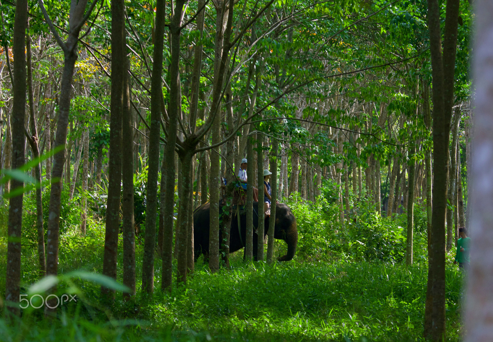 Canon EOS 5DS + Canon EF 70-200mm F4L IS USM sample photo. Slow ride photography