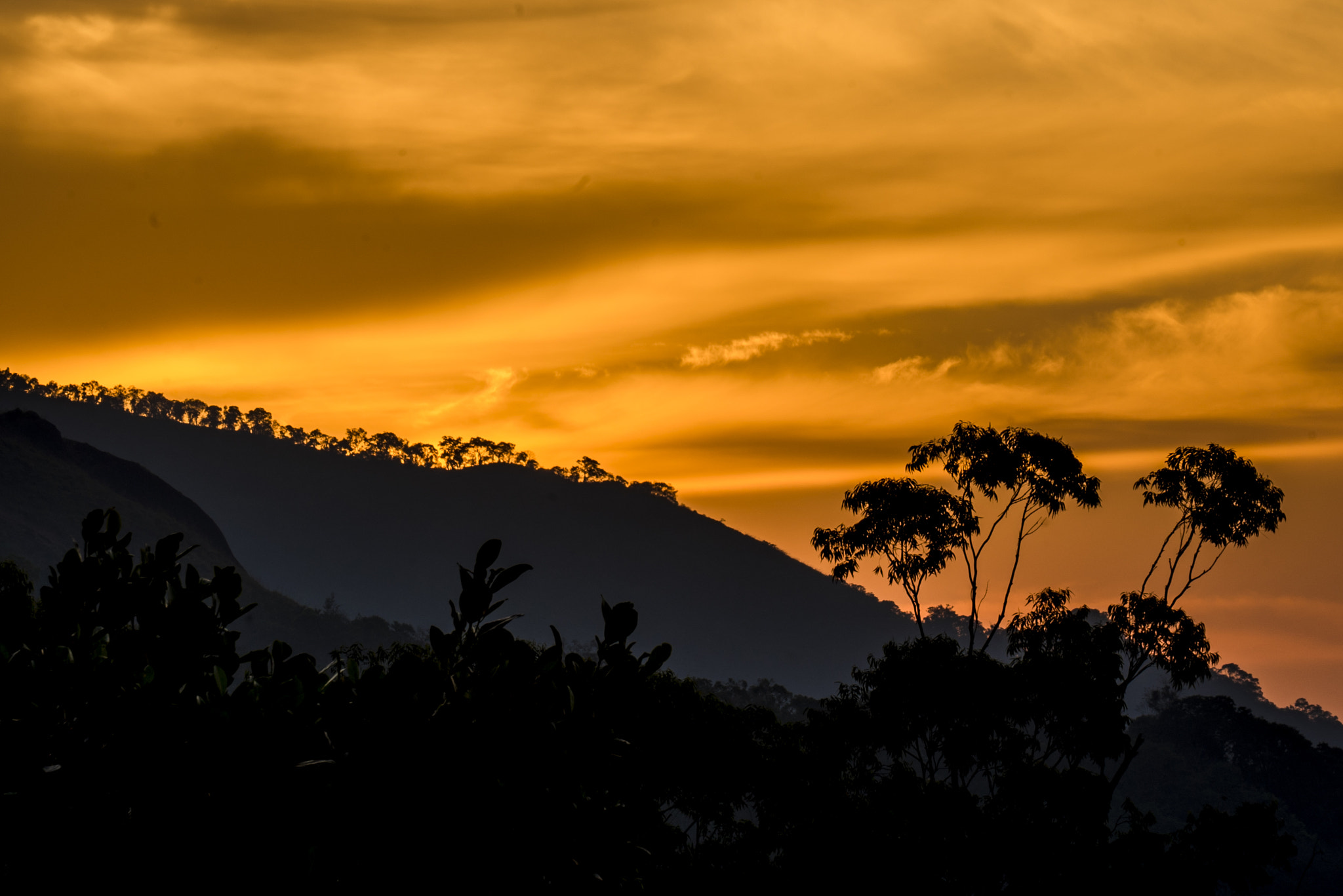 Sony a7S sample photo. Dawn photography