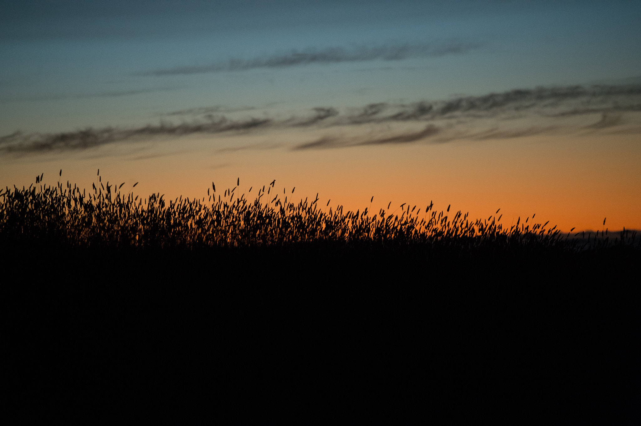 Nikon AF-S Nikkor 70-200mm F4G ED VR sample photo. Portola sunset 2 photography