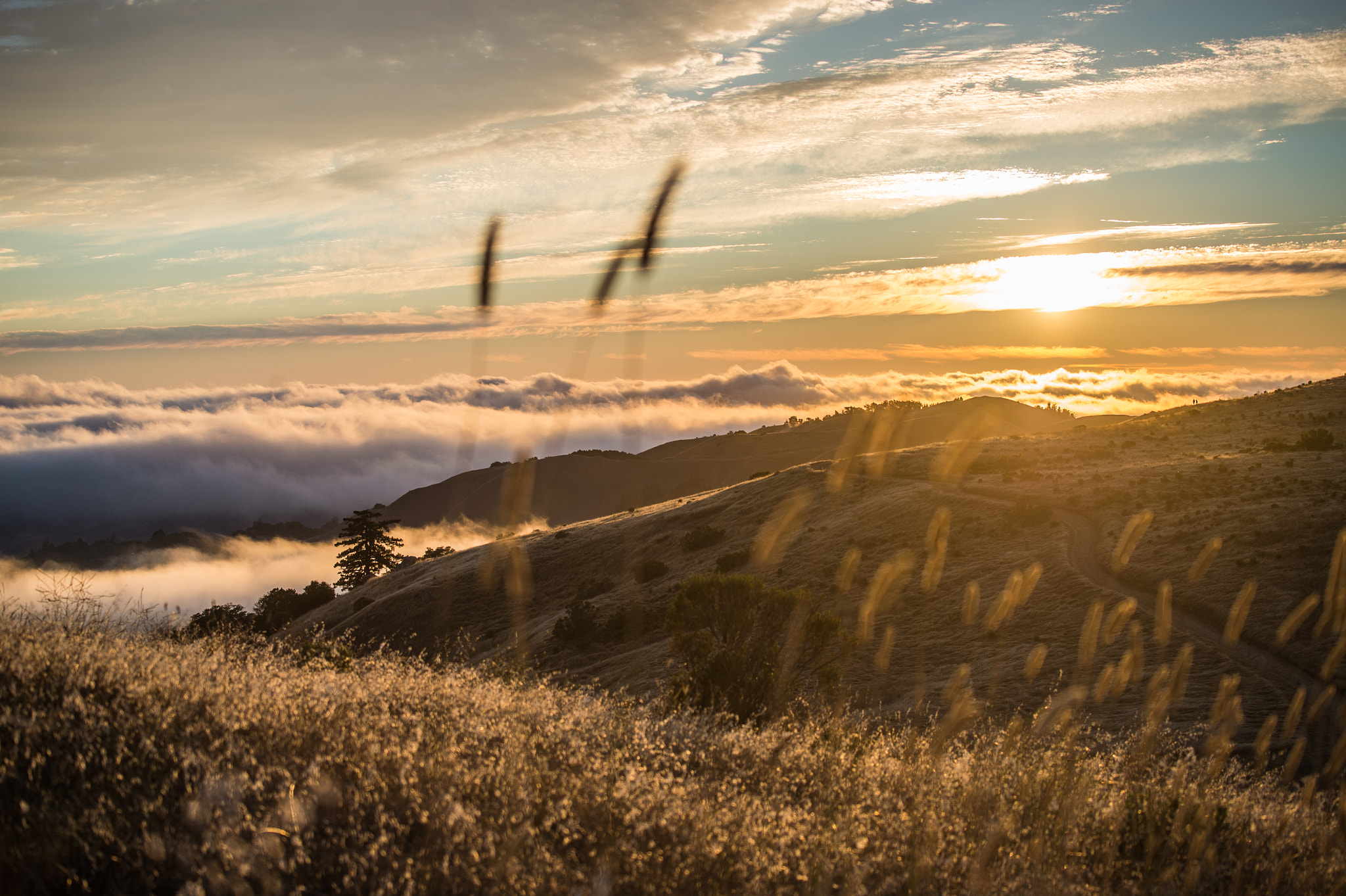 Nikon AF-S Nikkor 70-200mm F4G ED VR sample photo. Portola sunset photography