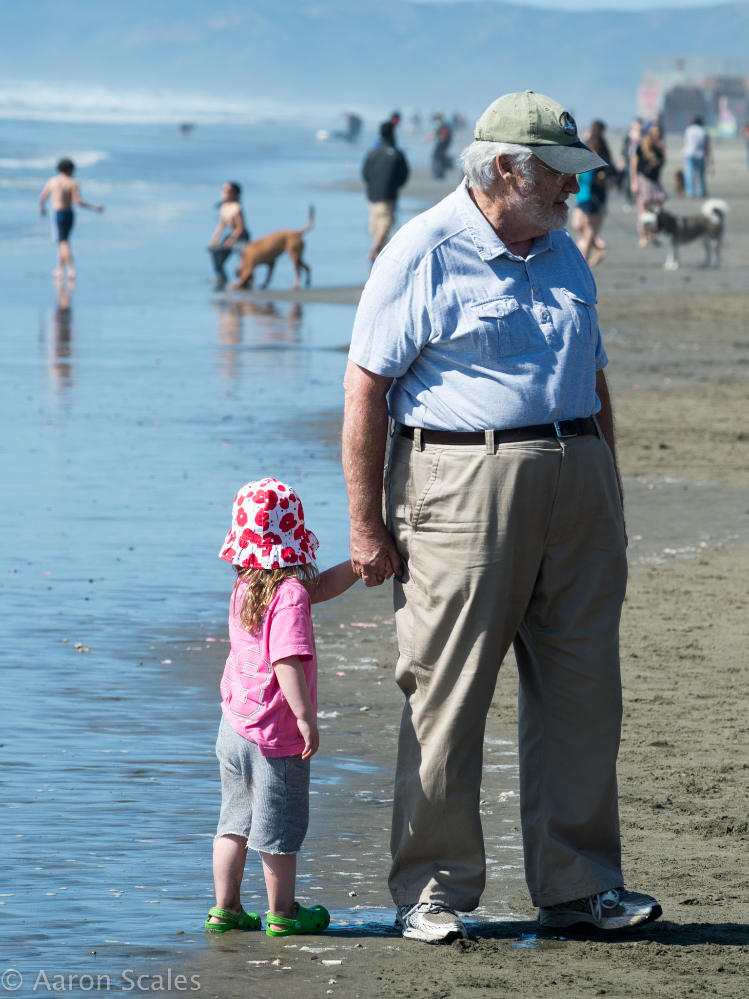 Nikon AF-S Nikkor 70-200mm F4G ED VR sample photo. Old man at dog beach photography