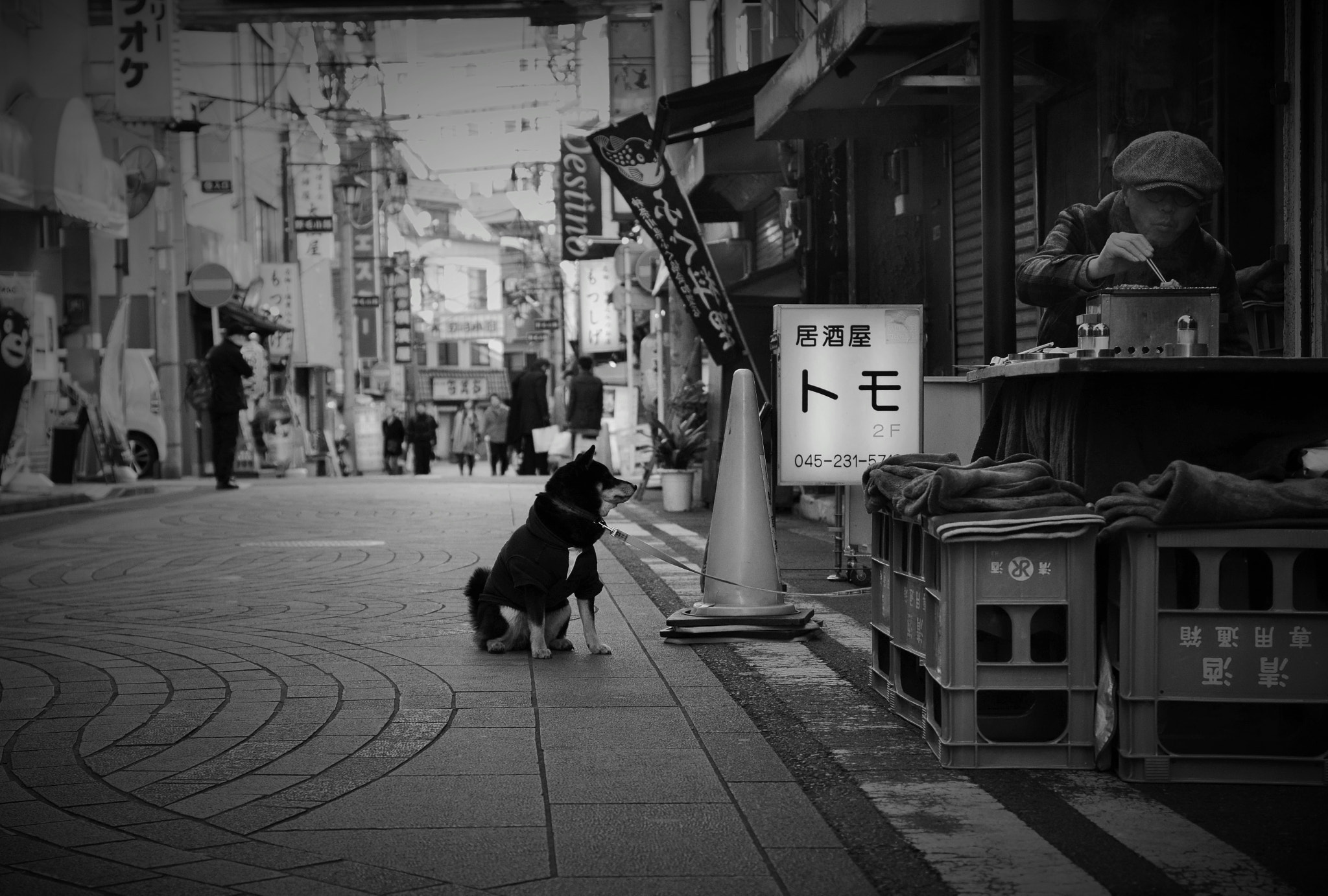 Sigma 17-70mm F2.8-4 DC Macro OS HSM | C sample photo. Faithful dog photography