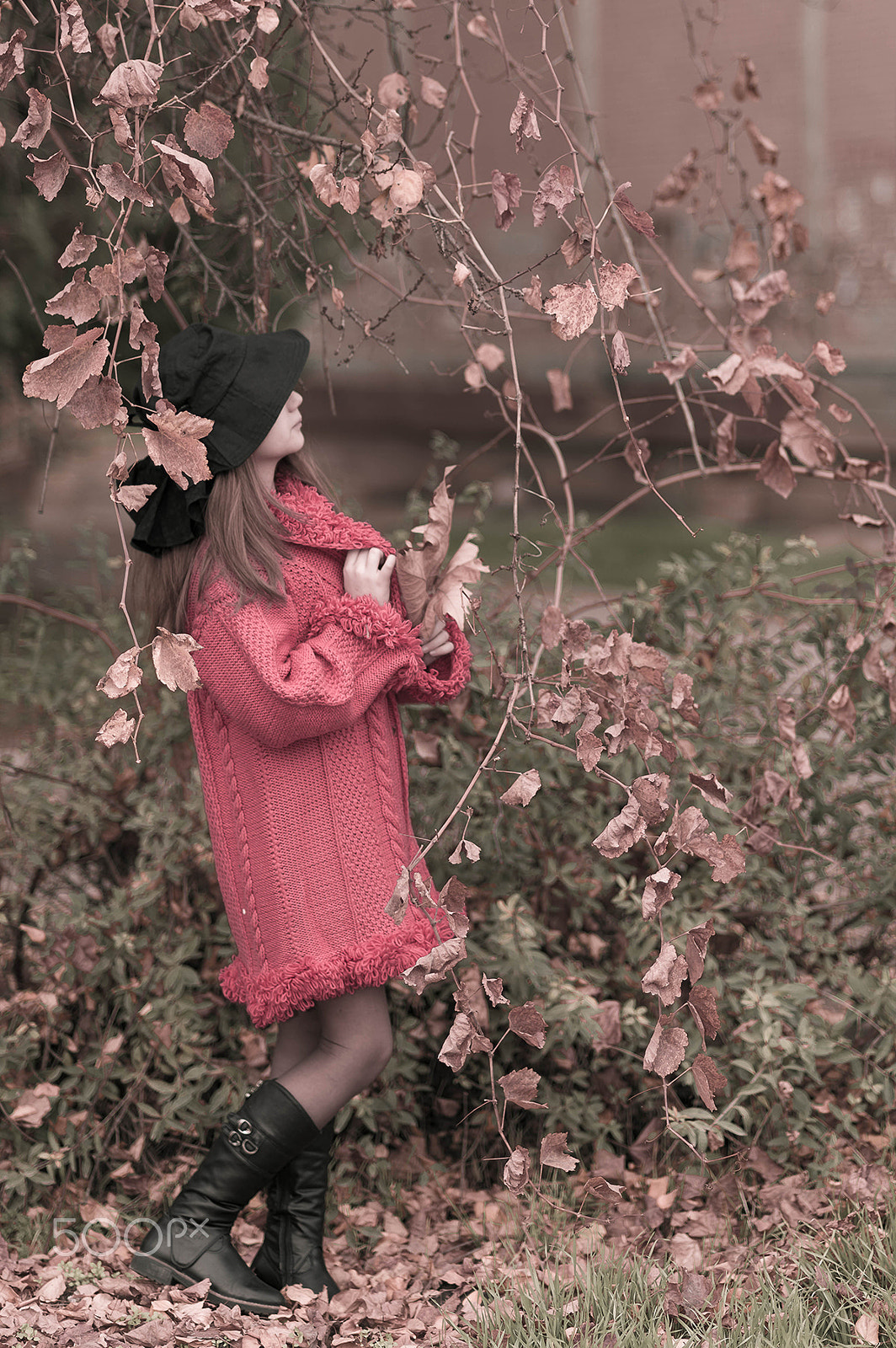 Nikon D800E + Nikon AF Nikkor 85mm F1.8D sample photo. The last day of autumn photography