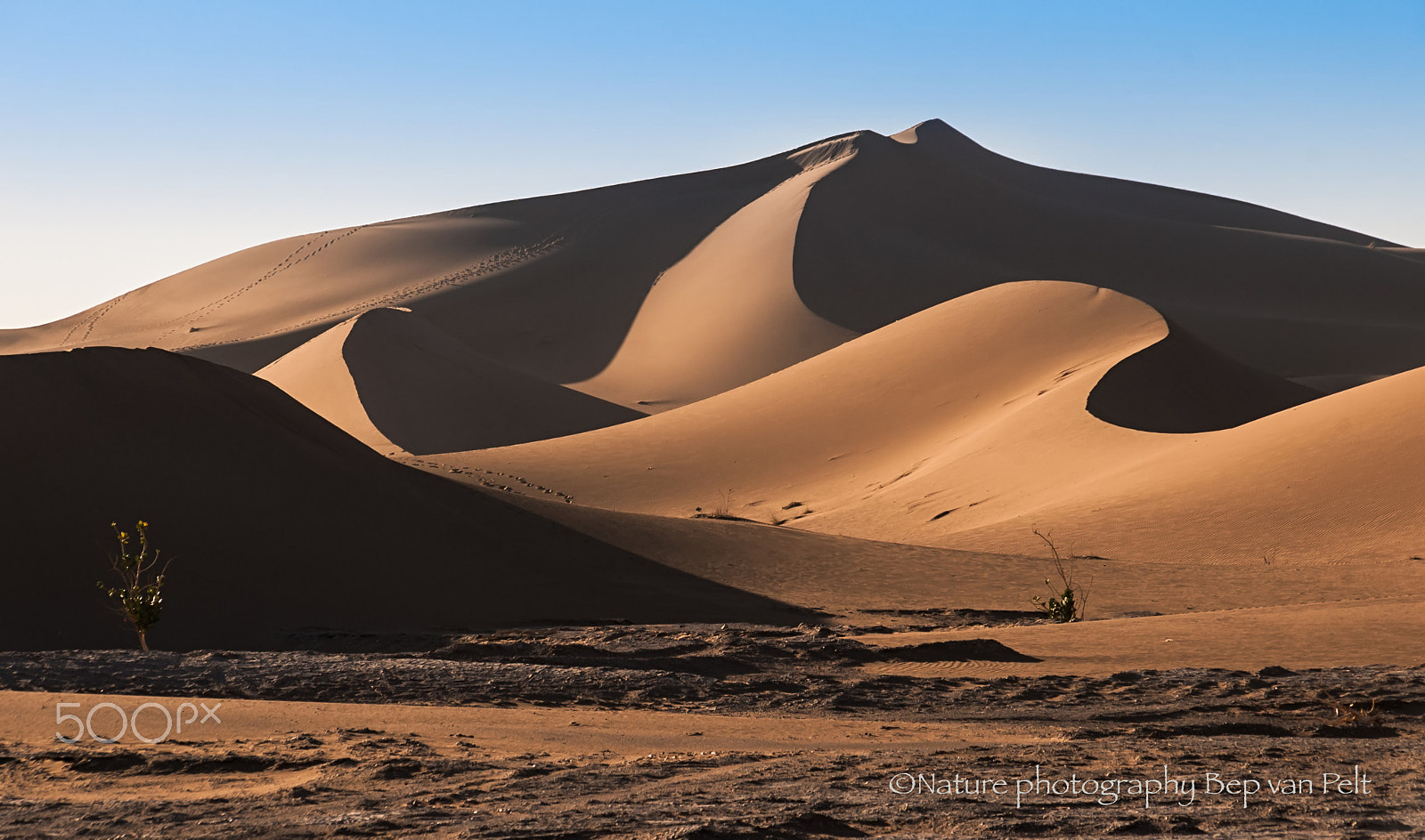 Pentax *ist DL + Sigma sample photo. Erg chegagga, sand-dune of 60m in morining sun photography