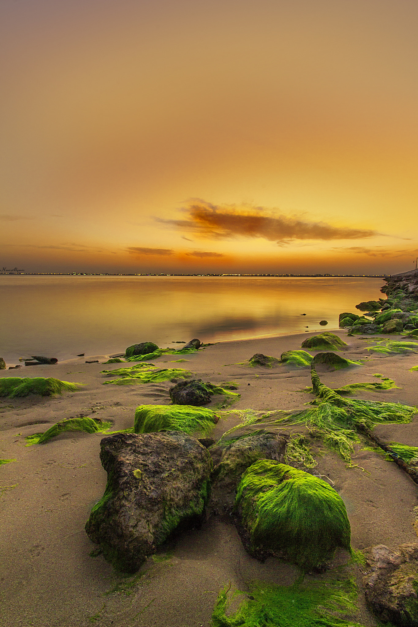 Canon EF-S 10-18mm F4.5–5.6 IS STM sample photo. I want you to be there can you !!!!  if you don't photography
