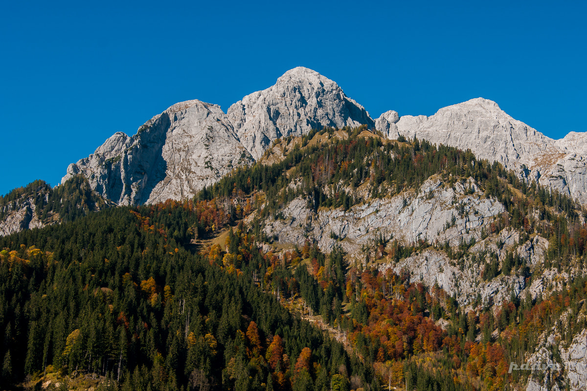 Sony Alpha DSLR-A700 + Minolta AF 17-35mm F2.8-4 (D) sample photo. Fall photography