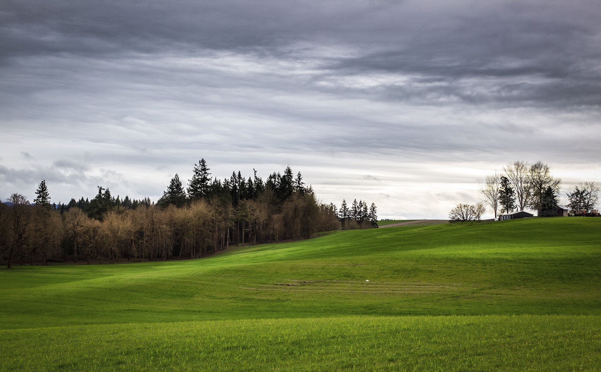 Canon EOS-1D Mark IV sample photo. Grass field photography