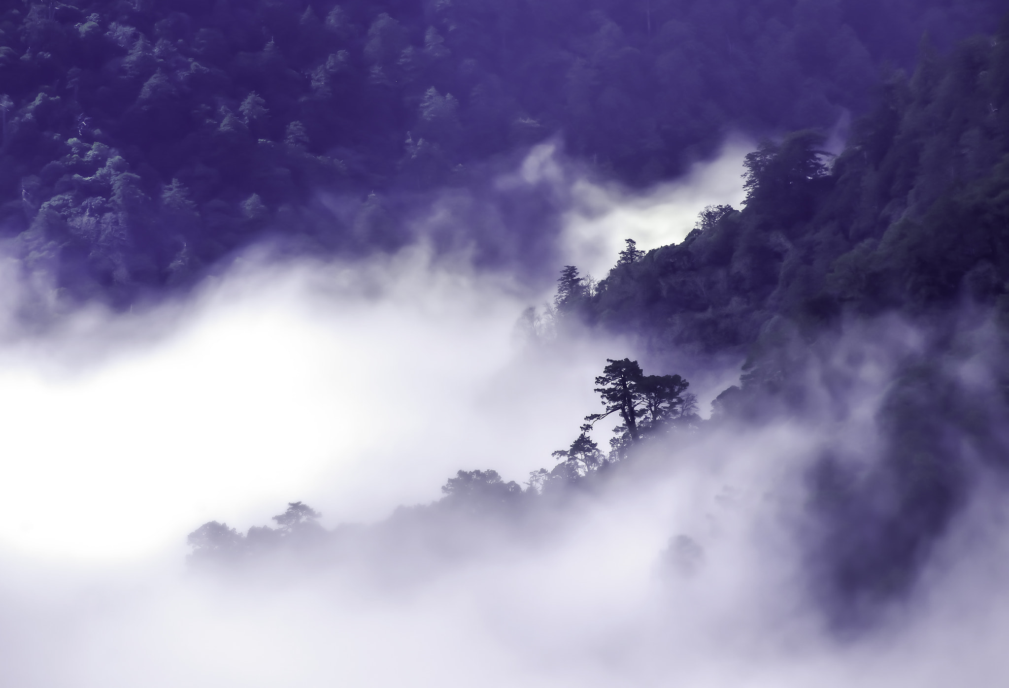 AF Zoom-Nikkor 35-80mm f/4-5.6D sample photo. 未命名 hdr photography