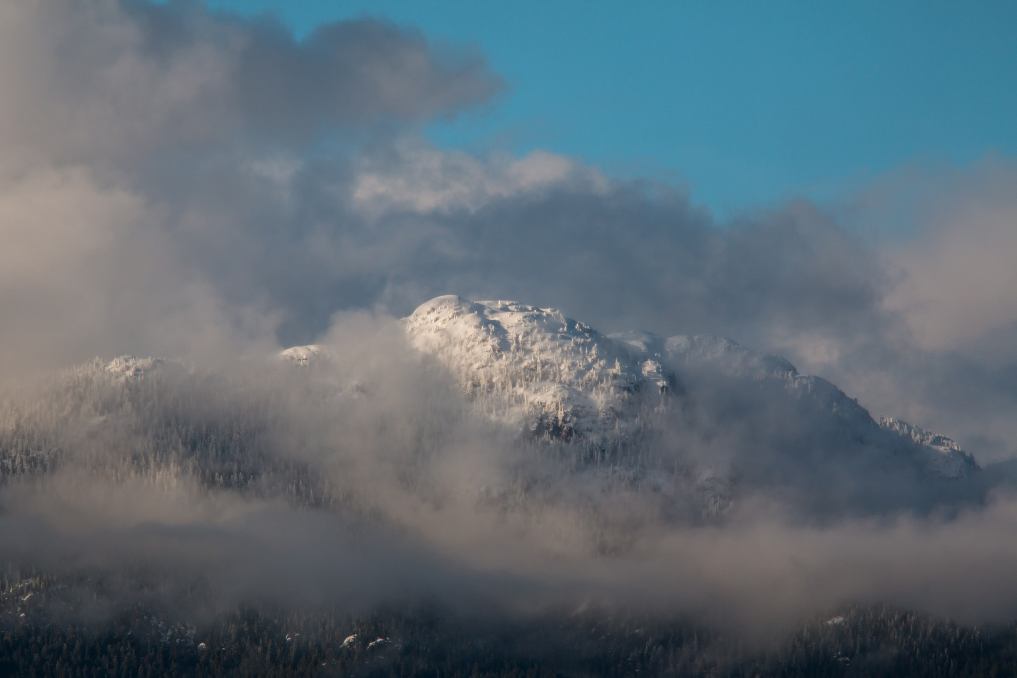 Canon EF 70-200mm F4L IS USM sample photo. Porteau cove provincial park photography