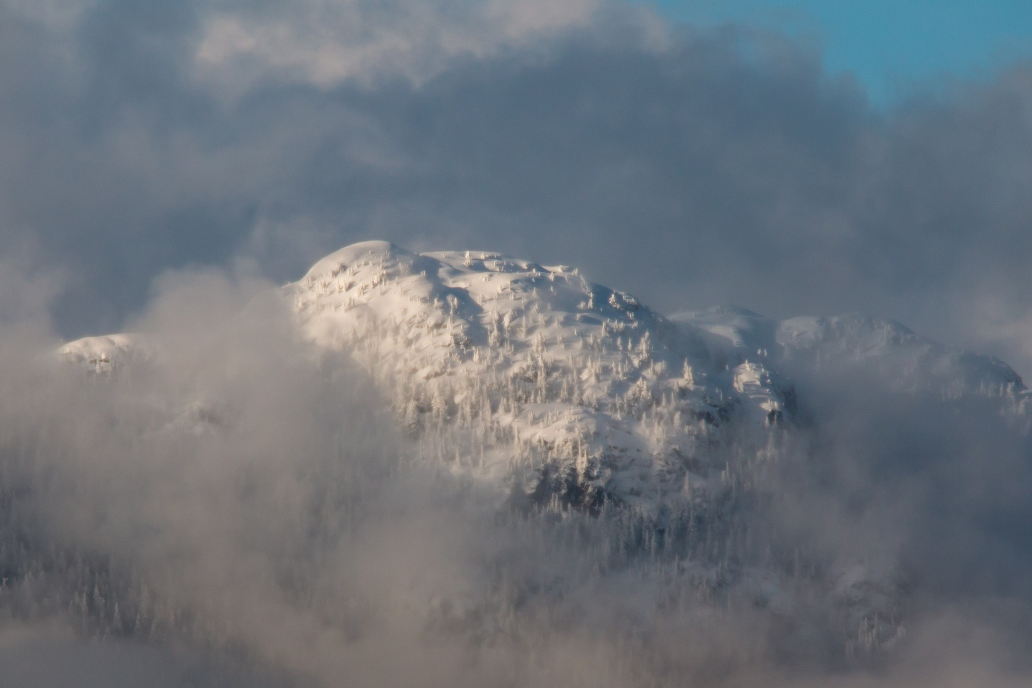 Canon EF 70-200mm F4L IS USM sample photo. Porteau cove provincial park photography
