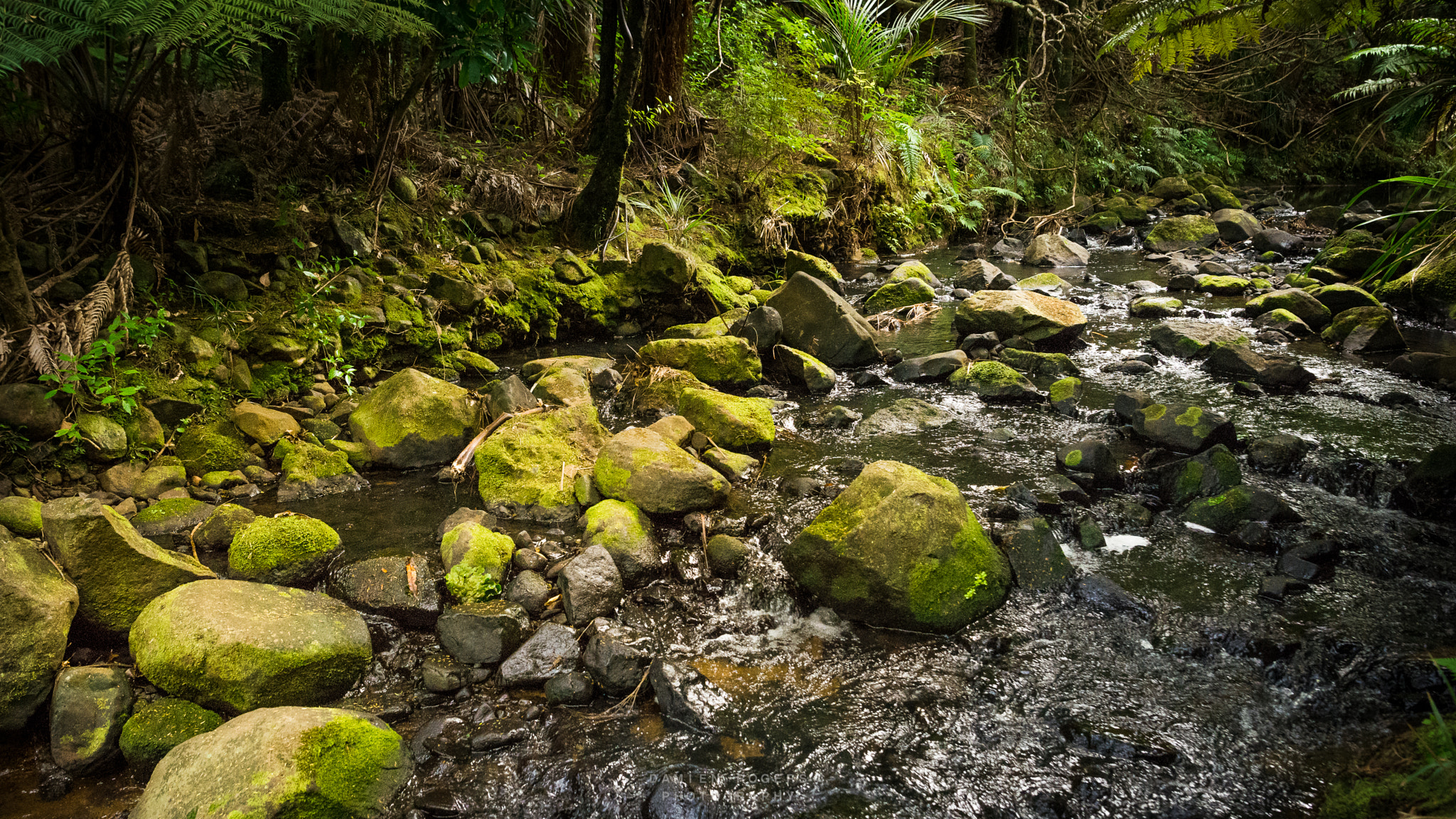 Nikon D7100 + Samyang 16mm F2 ED AS UMC CS sample photo. Burble photography