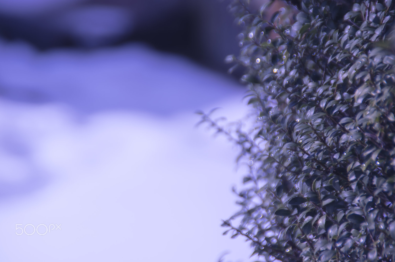 Tamron AF 18-200mm F3.5-6.3 XR Di II LD Aspherical (IF) Macro sample photo. Today's model photography