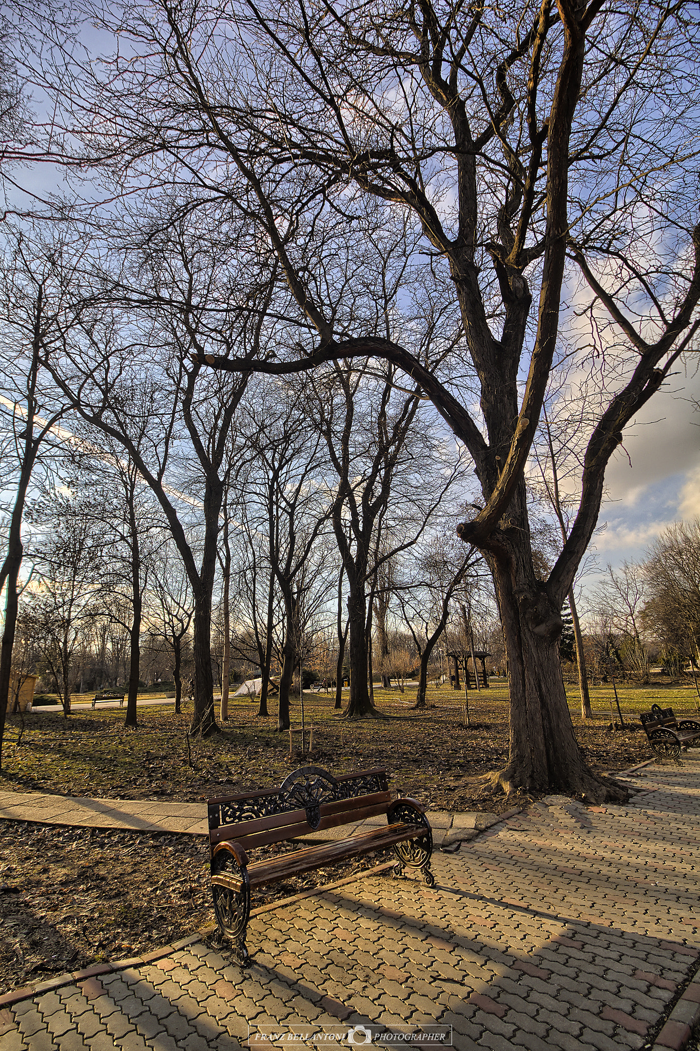 10.0 - 18.0 mm sample photo. Parco herăstrău 1 photography