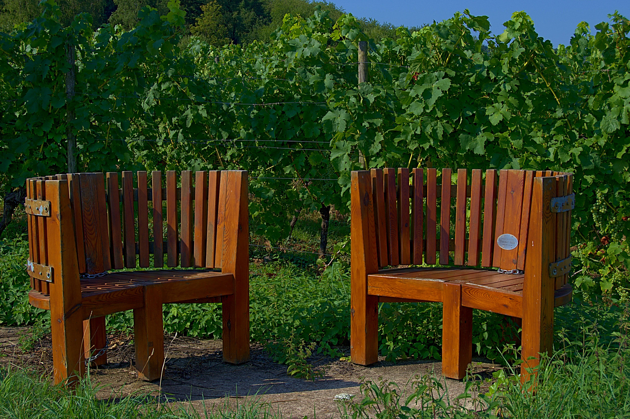 18.00 - 55.00 mm f/3.5 - 5.6 sample photo. () photography