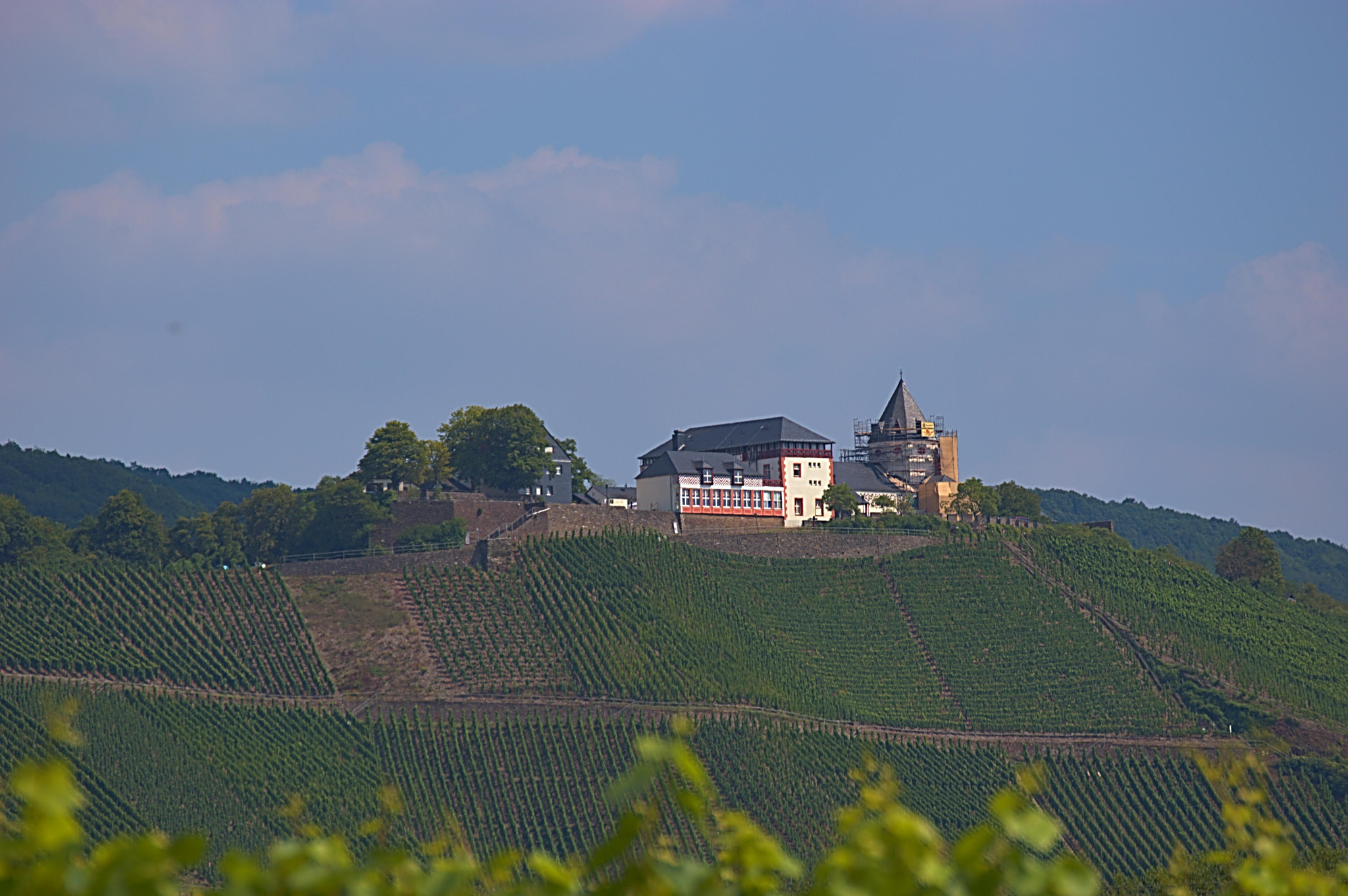 55.00 - 200.00 mm f/4.0 - 5.6 sample photo. () photography