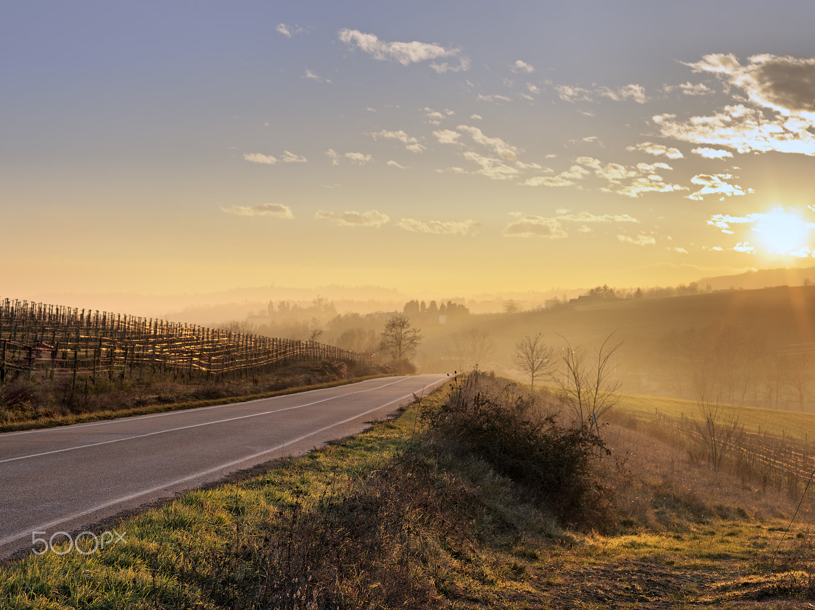 Hasselblad H5D-50c + HC 80 sample photo. Tramonto a rosignano monferrato photography
