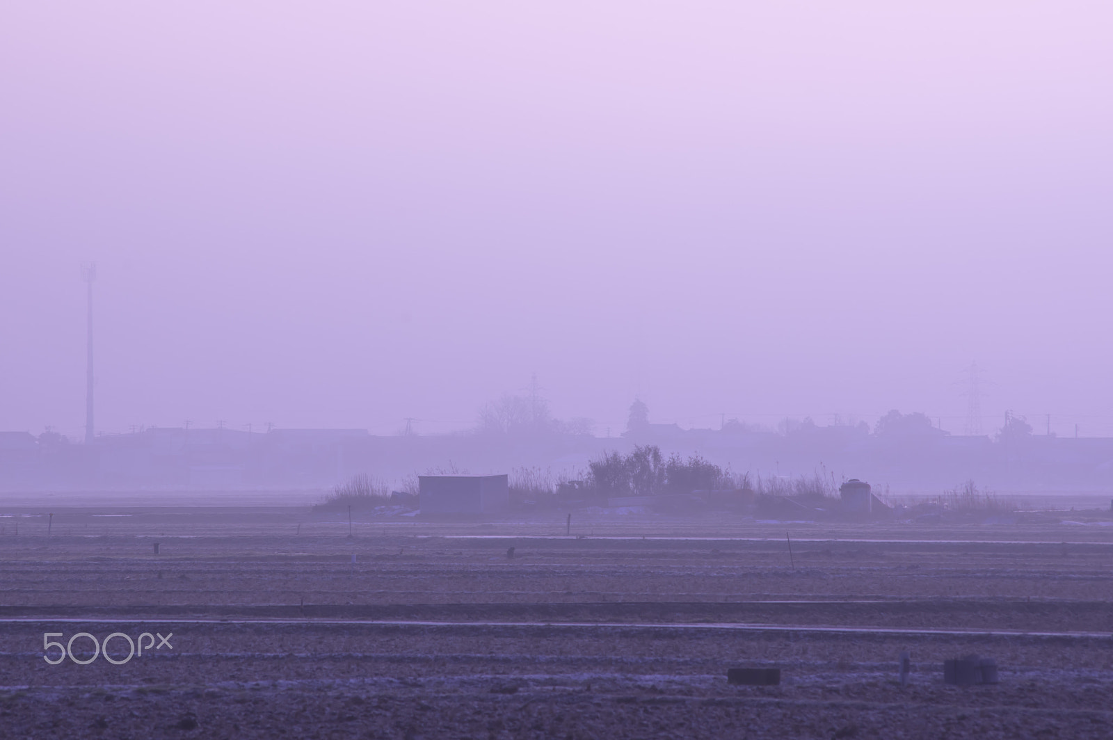 smc PENTAX-DA L 55-300mm F4-5.8 ED sample photo. " 冬の朝 "the morning of the winter photography