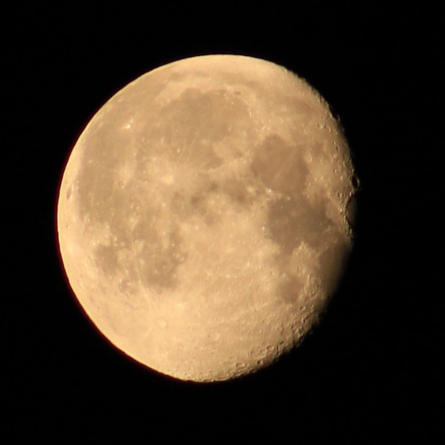 Canon EF75-300mm f/4-5.6 sample photo. Luna photography