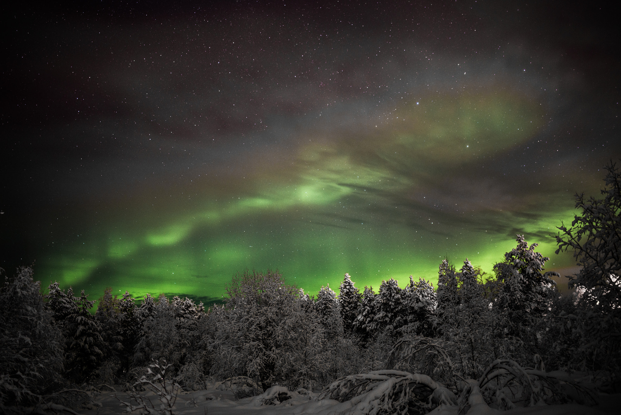 Nikon D610 + AF-S Nikkor 35mm f/1.8G sample photo. Aurora borealis photography