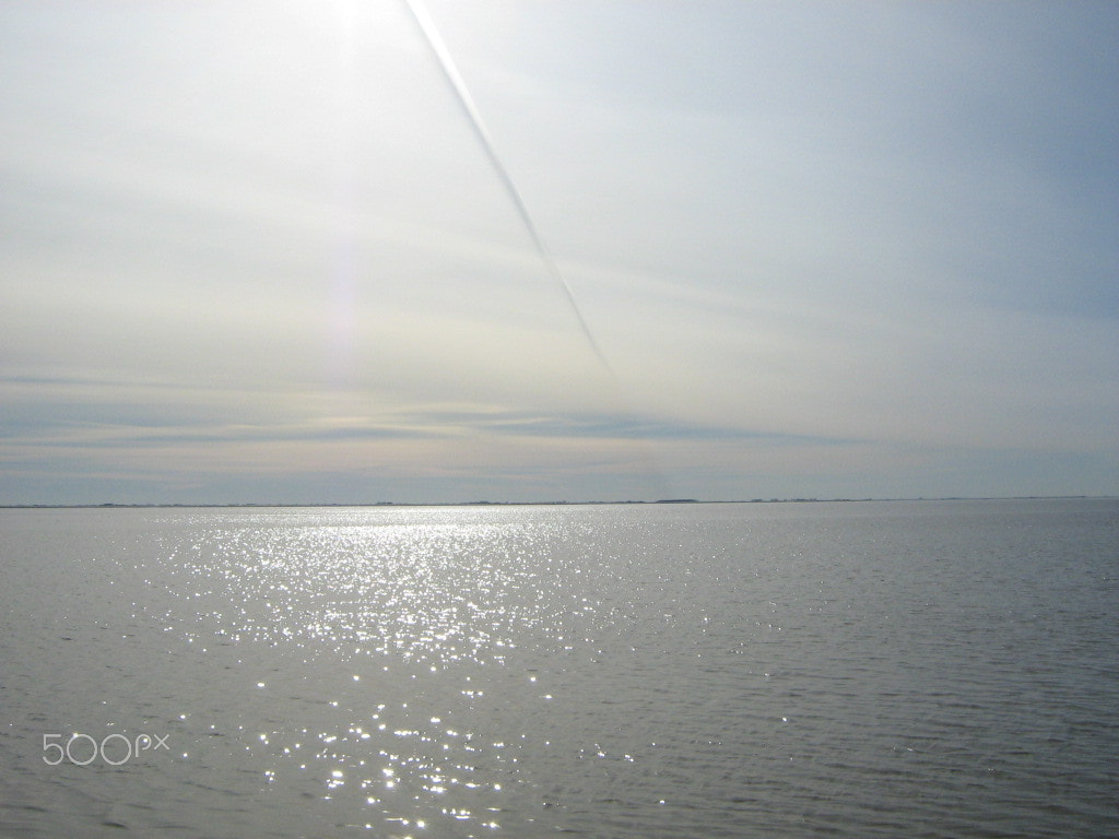 Canon POWERSHOT A430 sample photo. Silence photography