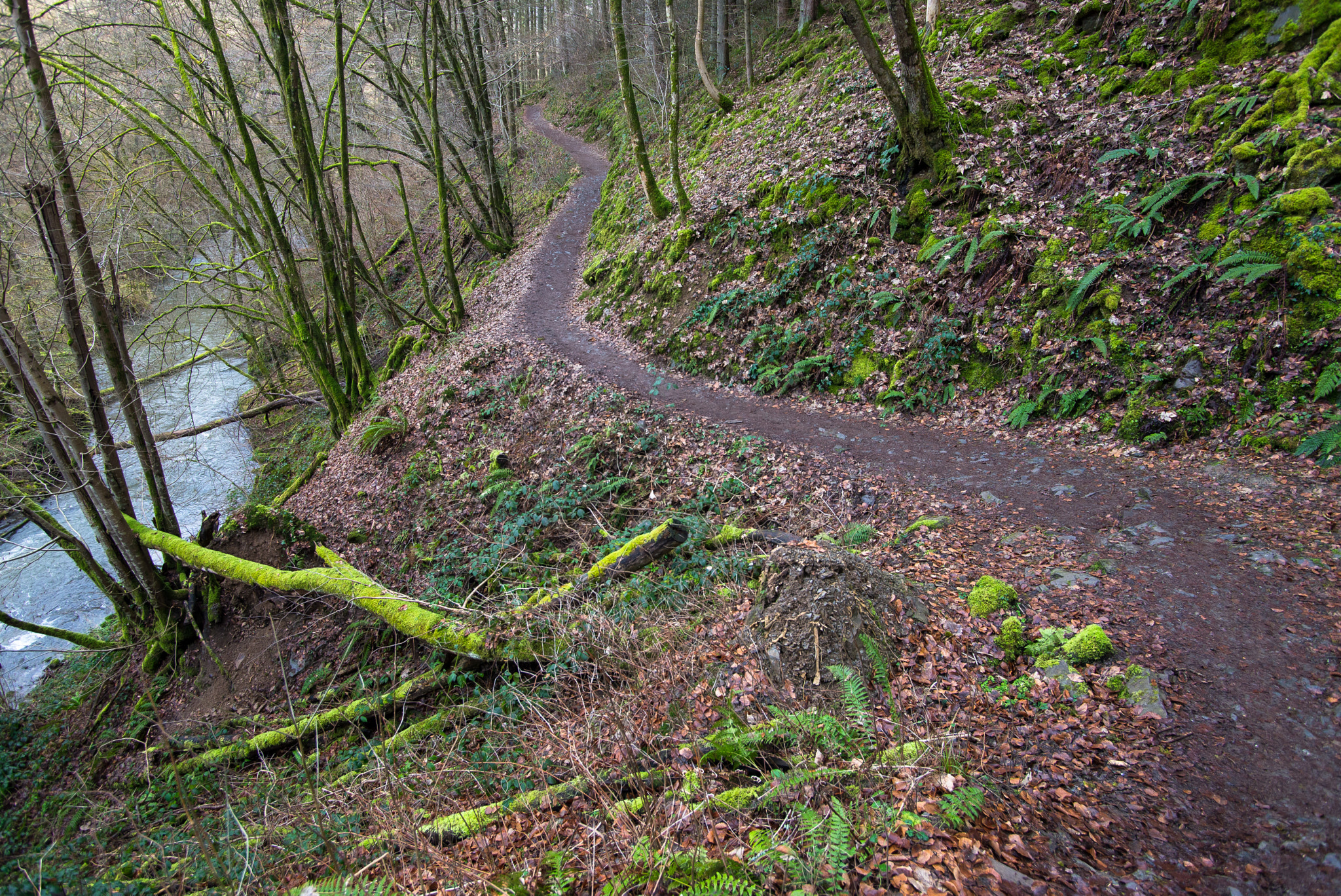 Nikon D600 + Tamron SP AF 17-35mm F2.8-4 Di LD Aspherical (IF) sample photo. Trail to burg eltz photography