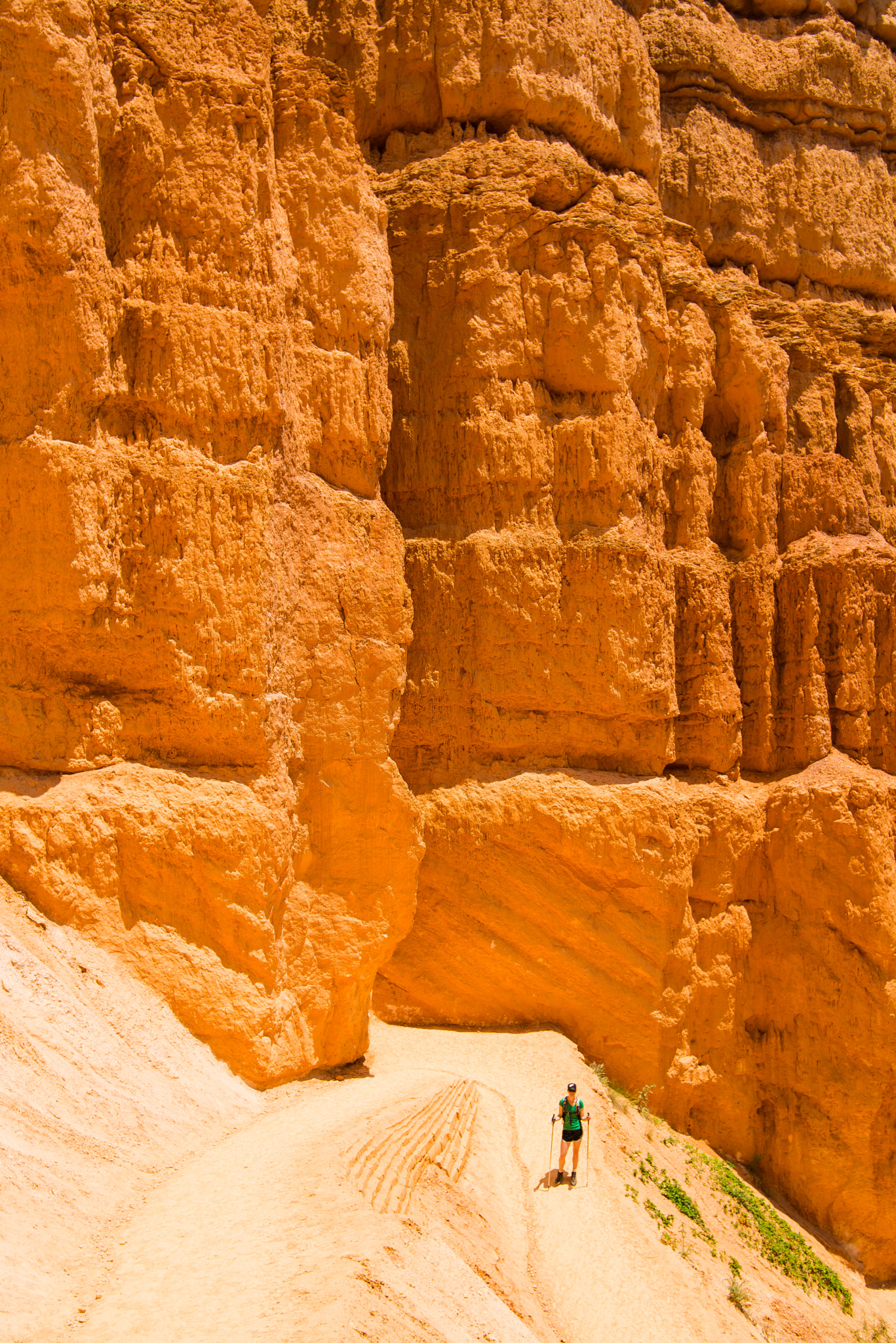 Nikon D600 sample photo. Dropping into bryce photography
