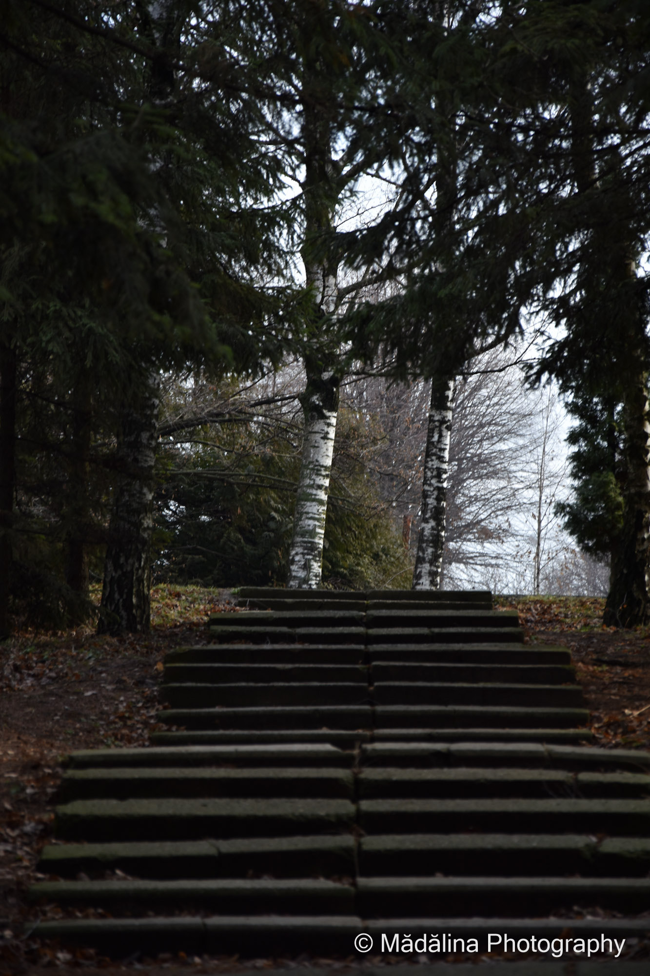 AF Zoom-Nikkor 35-80mm f/4-5.6D N sample photo. Stairway to light photography