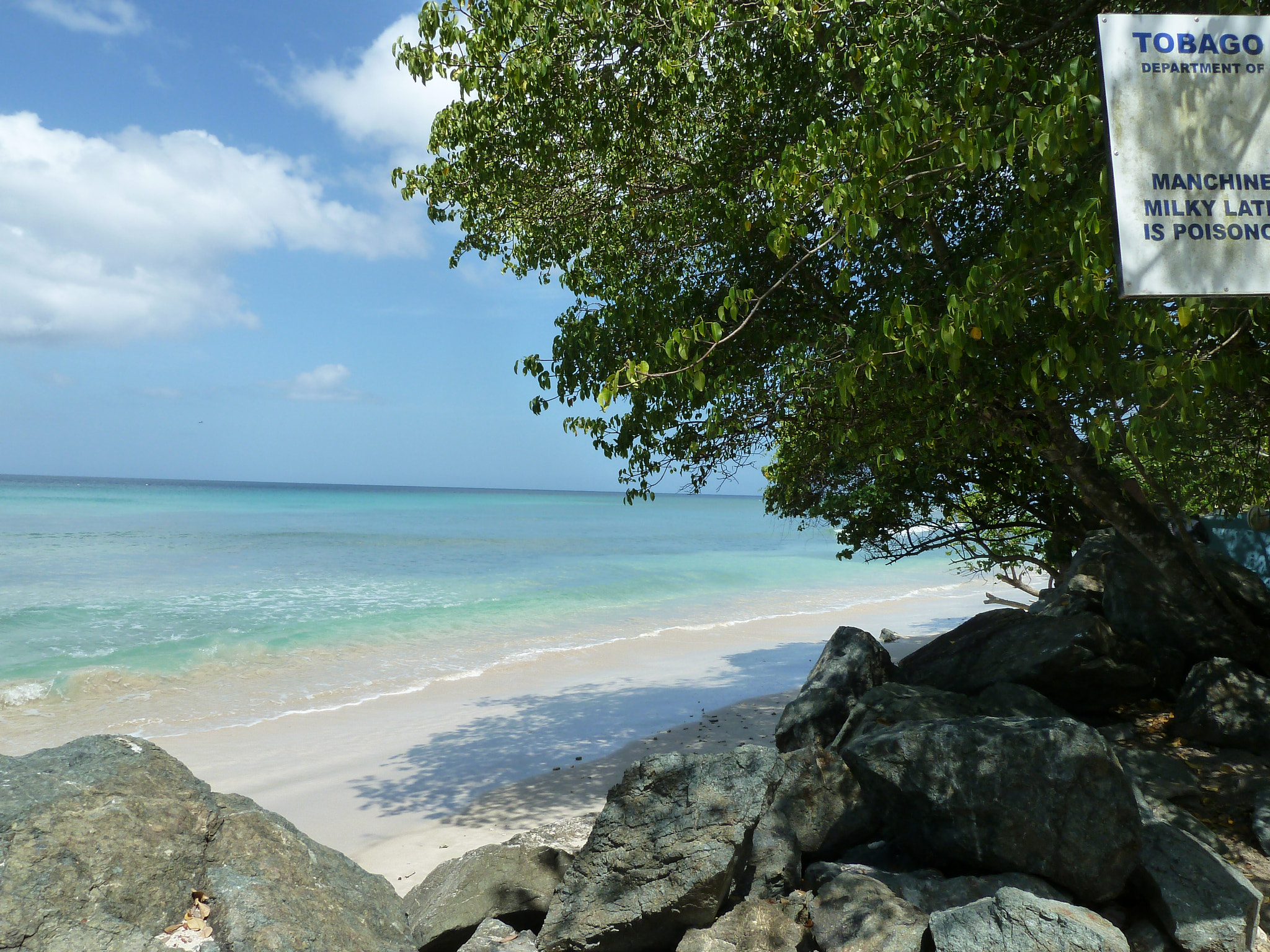 Leica V-Lux 20 sample photo. Beach photography