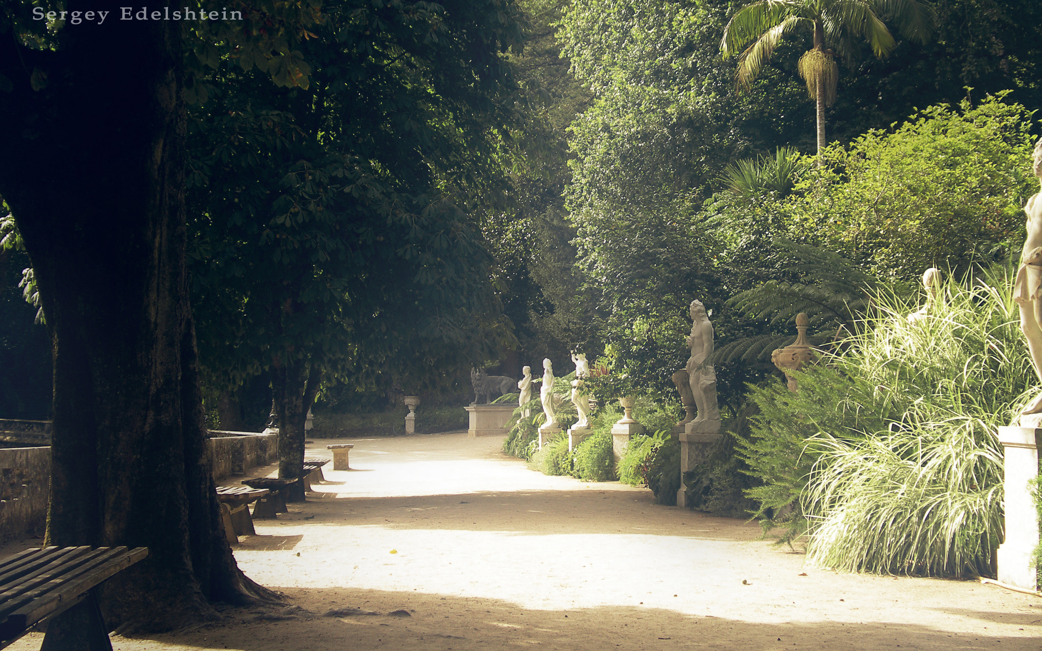 Pentax OPTIO 750Z sample photo. Park photography