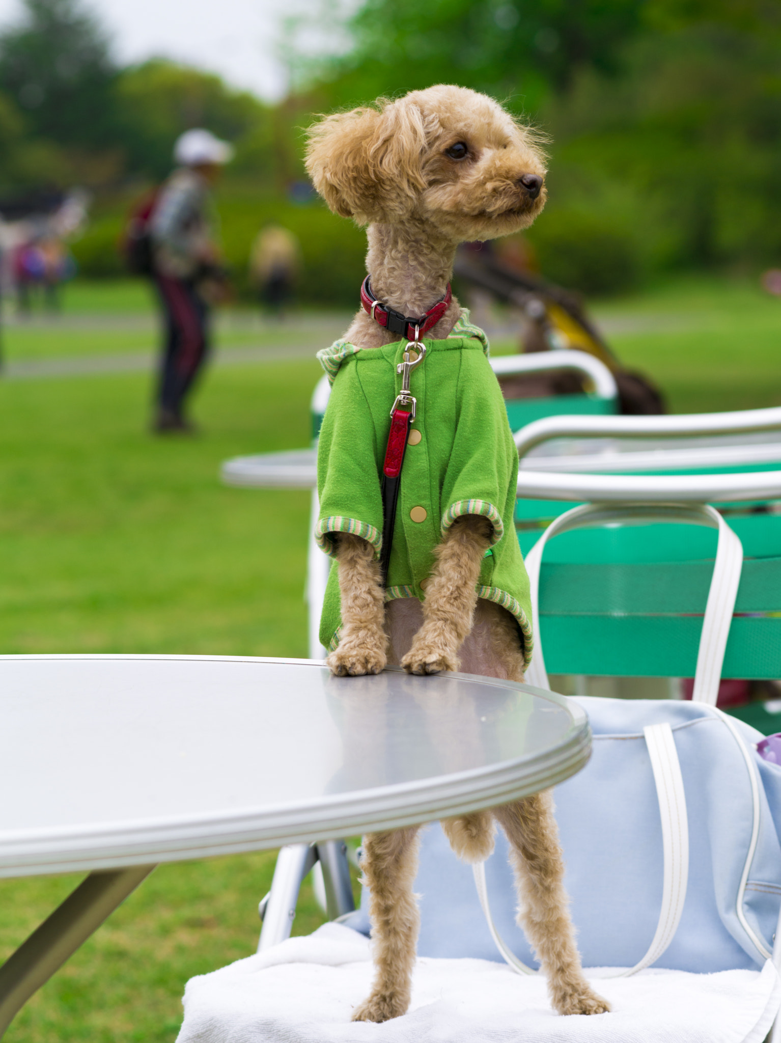 Pentax 645D sample photo. He's waiting photography