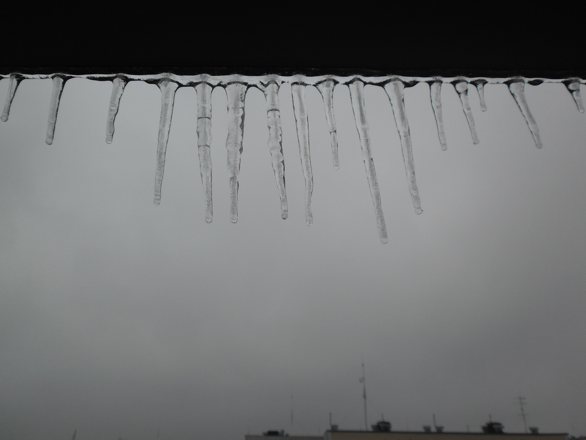 Samsung ES9/ ES8 sample photo. A herd of icicles photography
