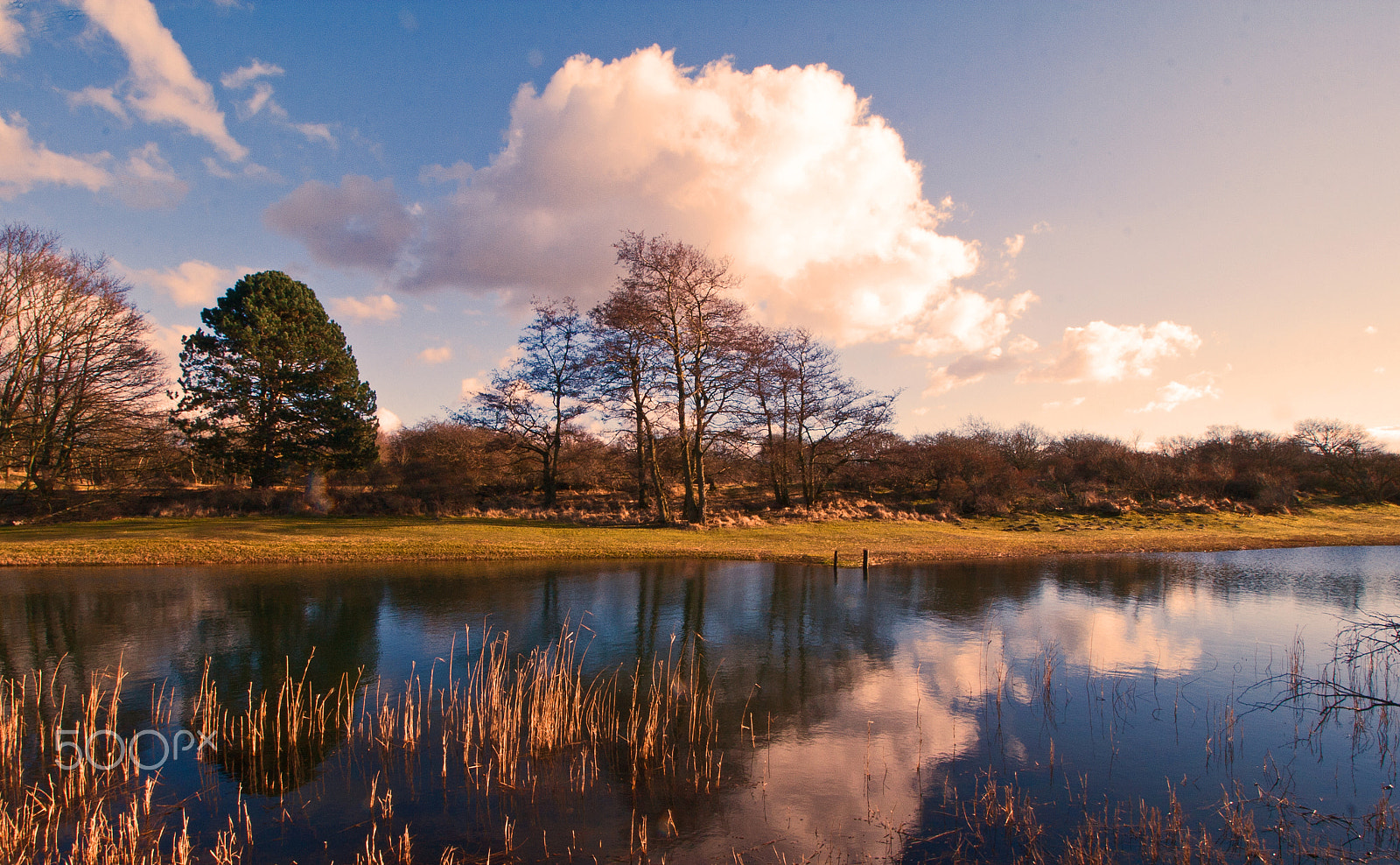 Canon EF-S 10-18mm F4.5–5.6 IS STM sample photo. Reflection photography