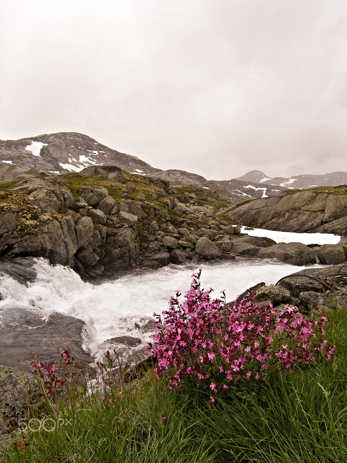 Olympus C7070WZ sample photo. Wild norway photography