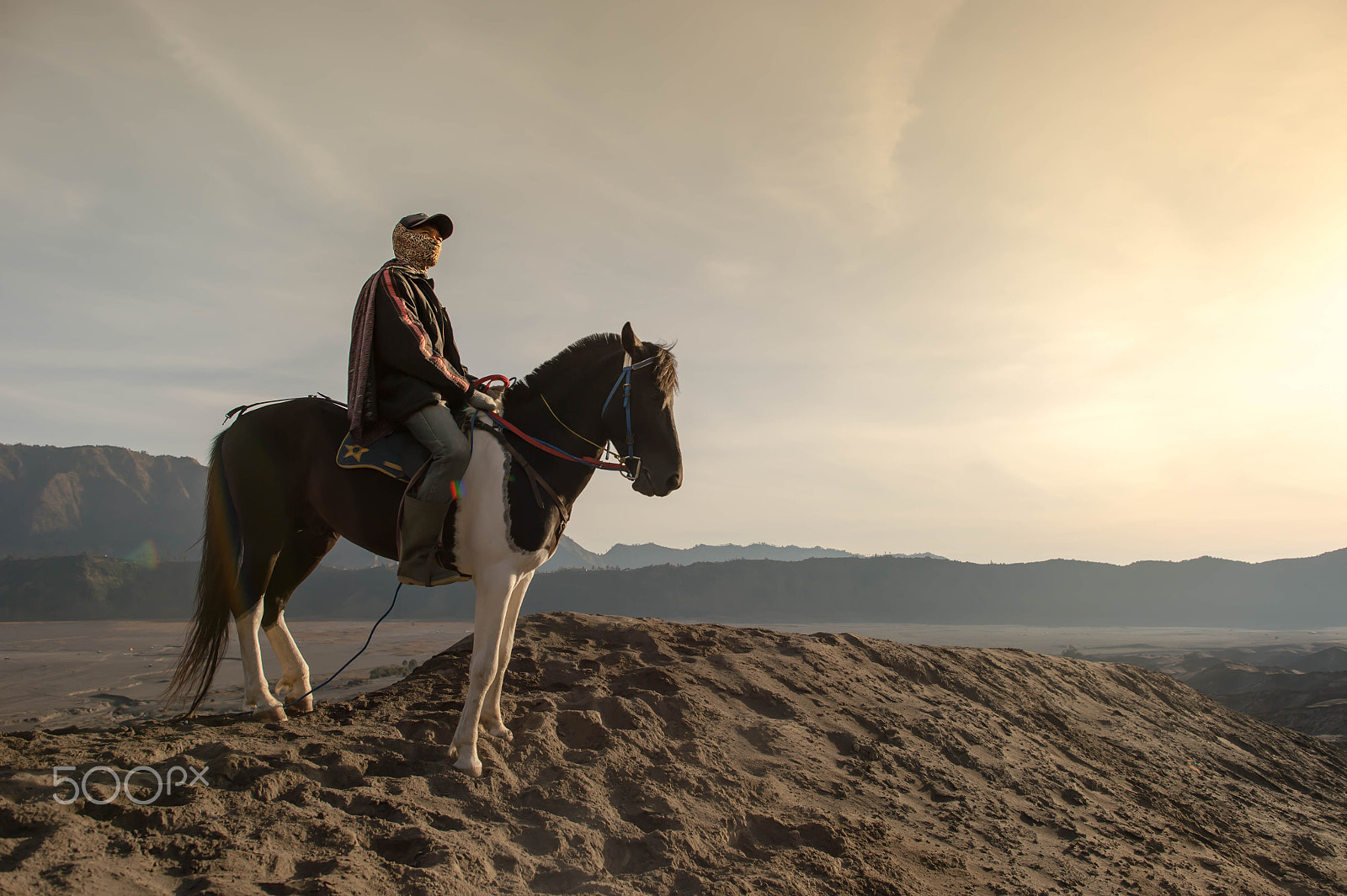 Nikon Df + Nikon AF-S Nikkor 24mm F1.4G ED sample photo. Horse photography