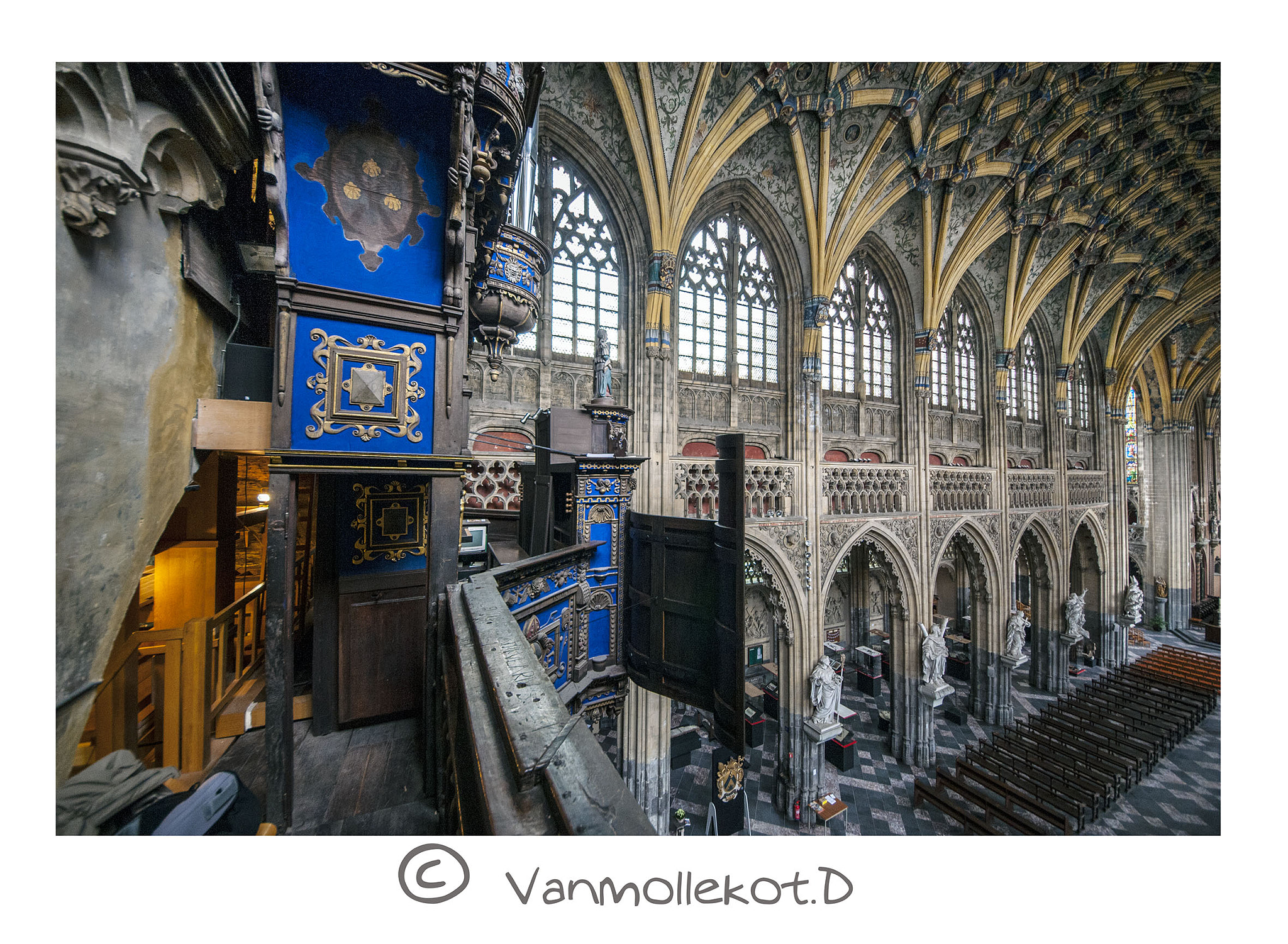 Sigma 8-16mm F4.5-5.6 DC HSM sample photo. Facteurs d'orgue photography