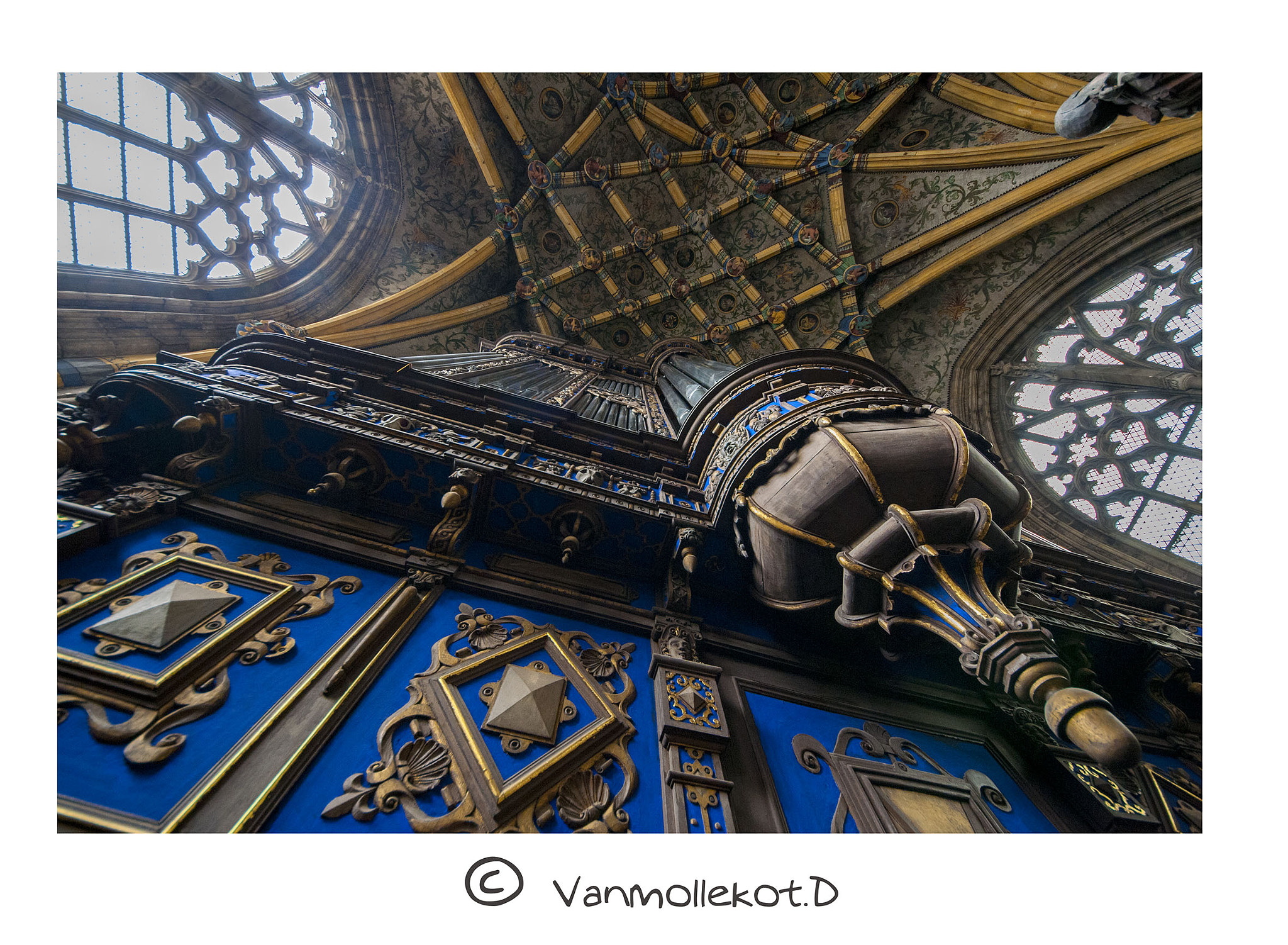 Sigma 8-16mm F4.5-5.6 DC HSM sample photo. Facteurs d'orgue photography