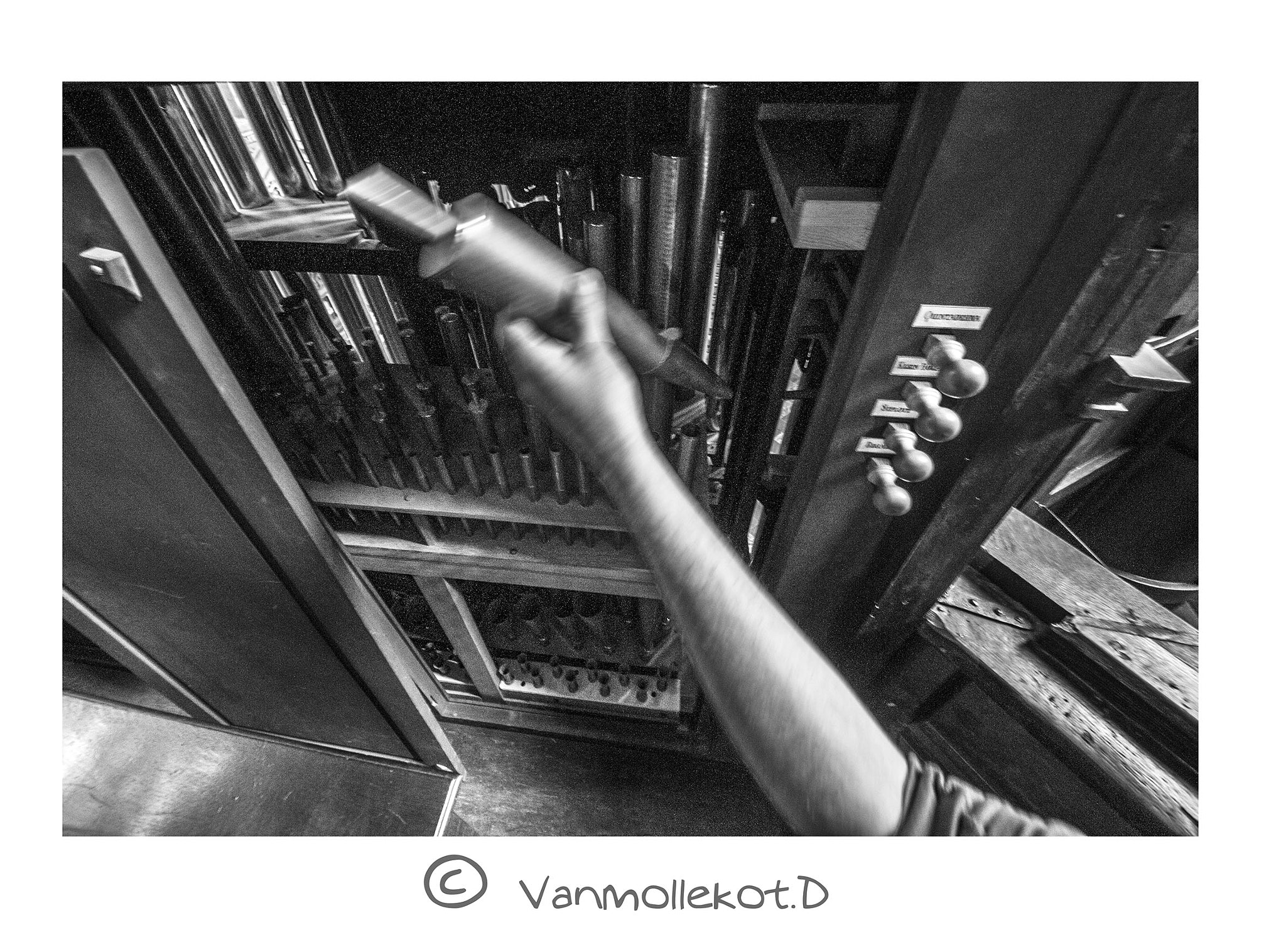 Sigma 8-16mm F4.5-5.6 DC HSM sample photo. Facteurs d'orgue photography