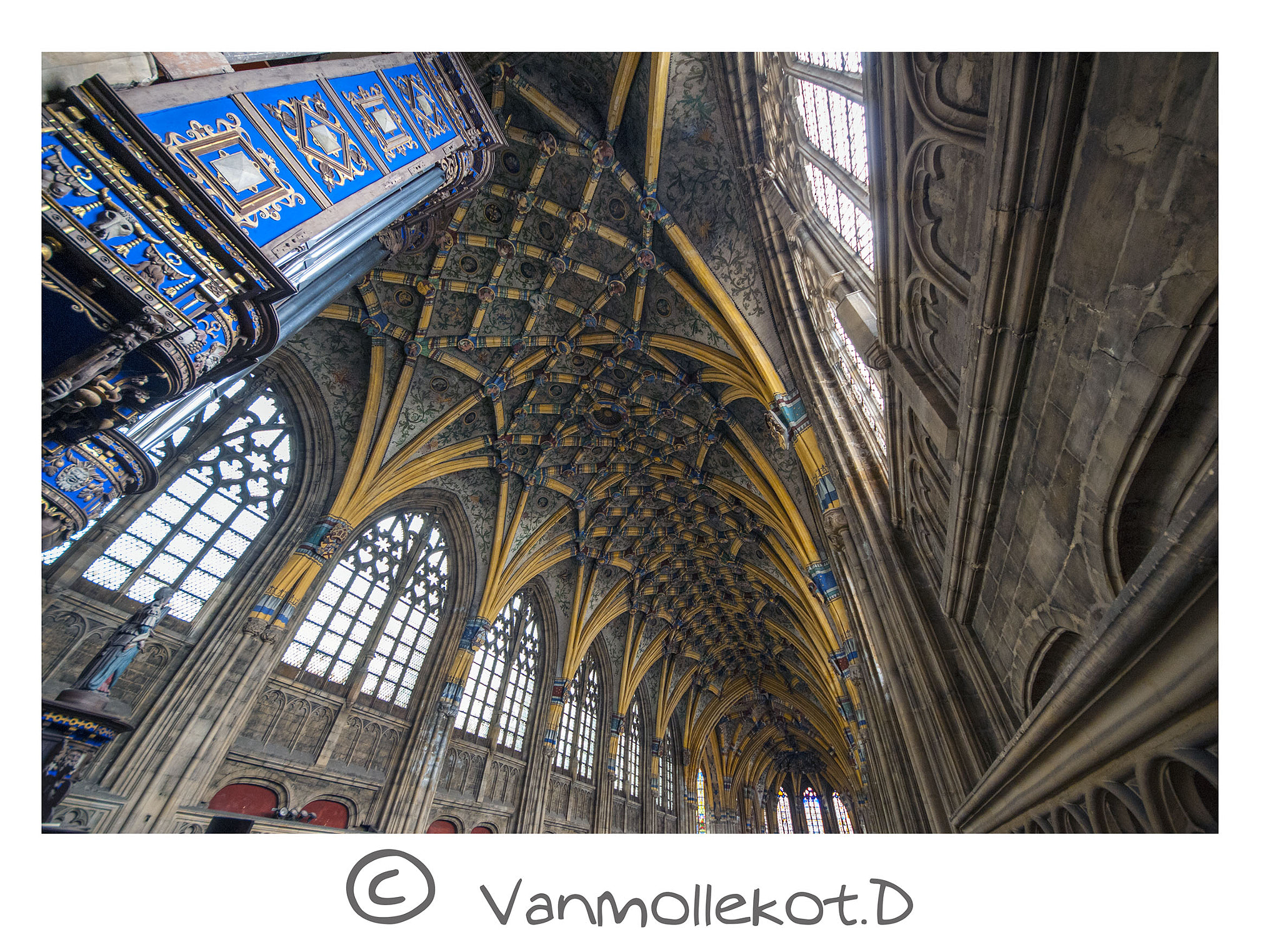 Sigma 8-16mm F4.5-5.6 DC HSM sample photo. Facteurs d'orgue photography